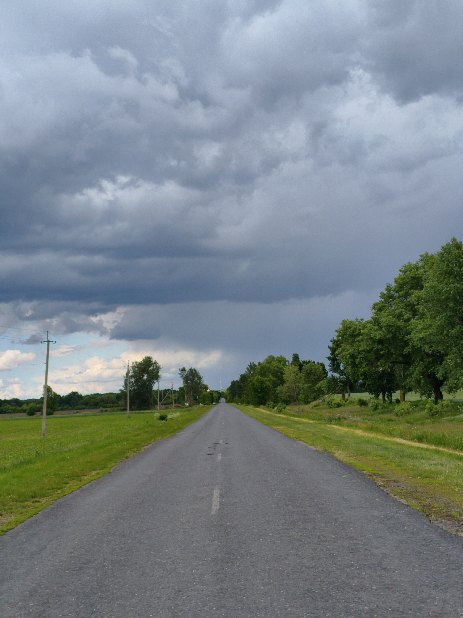 Storm aftermath documented in Ukrainian countryside near Hoholeve