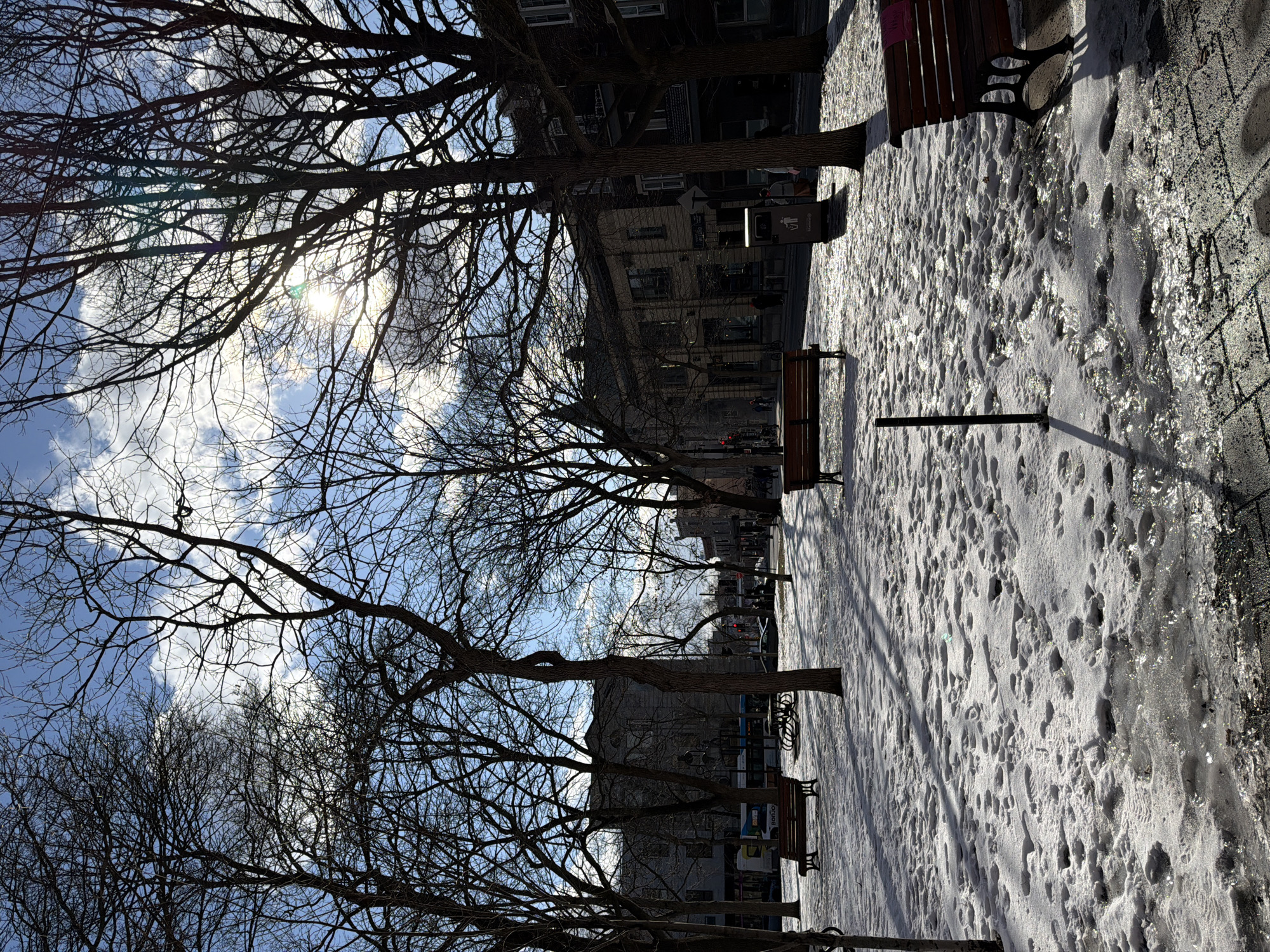Winter street scenes documented in Montreal including mural, trees