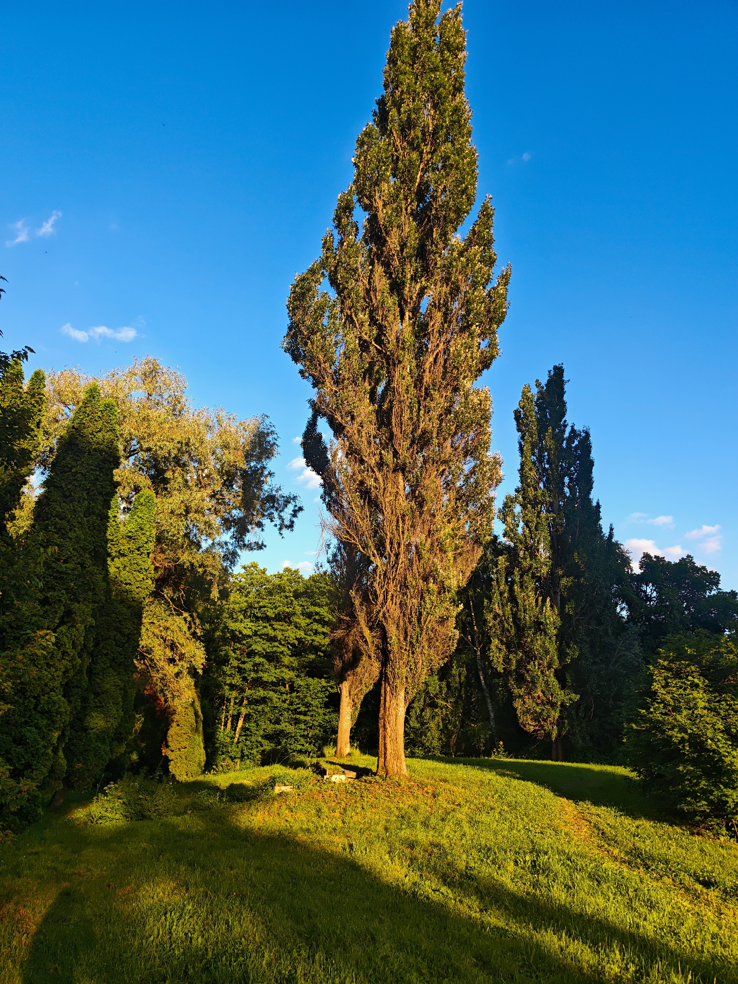 Moscow summer afternoon: parks, red brick history, and modern glass