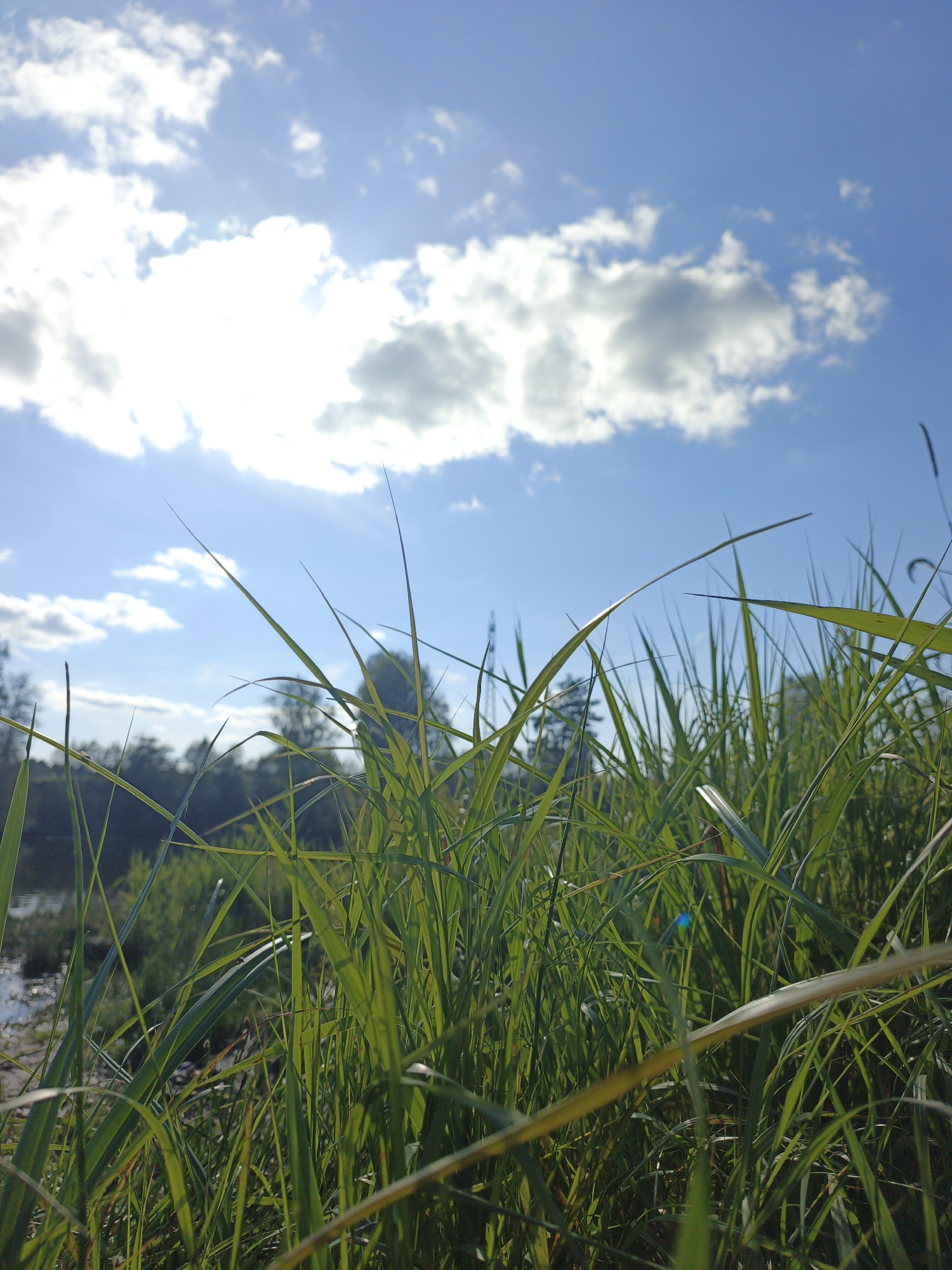 Quiet afternoon fishing on a Russian riverbank