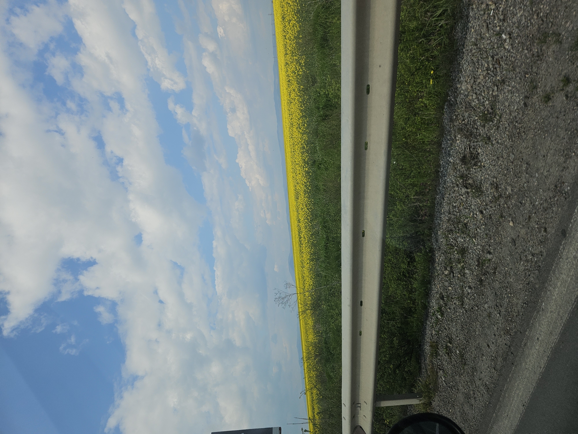 Spring blooms visible from roadside near Drazhevo, Bulgaria
