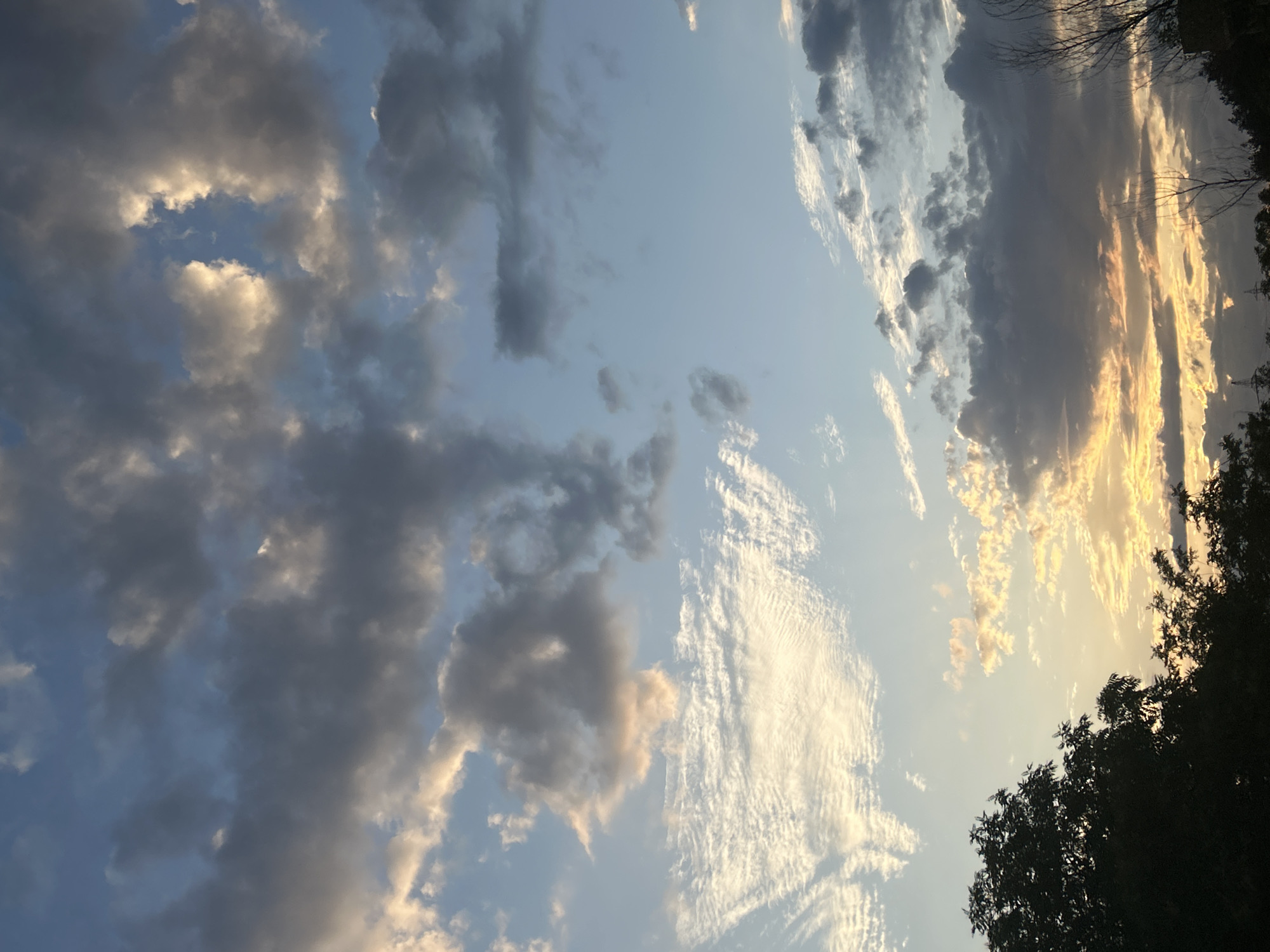 Evening scenes documented across Haskovo, Bulgaria during sunset hours