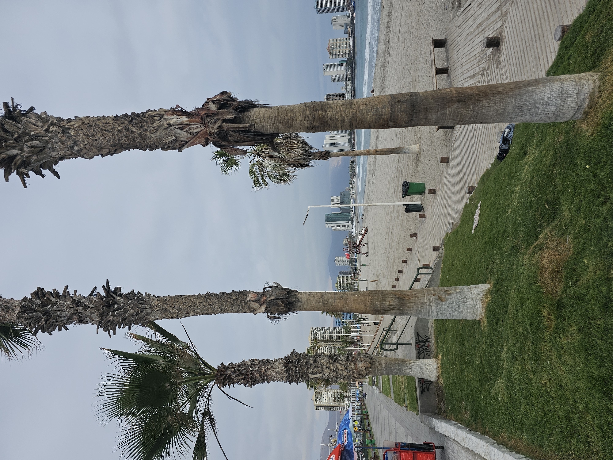 Evening stroll documented along Iquique's coastal promenade and parks