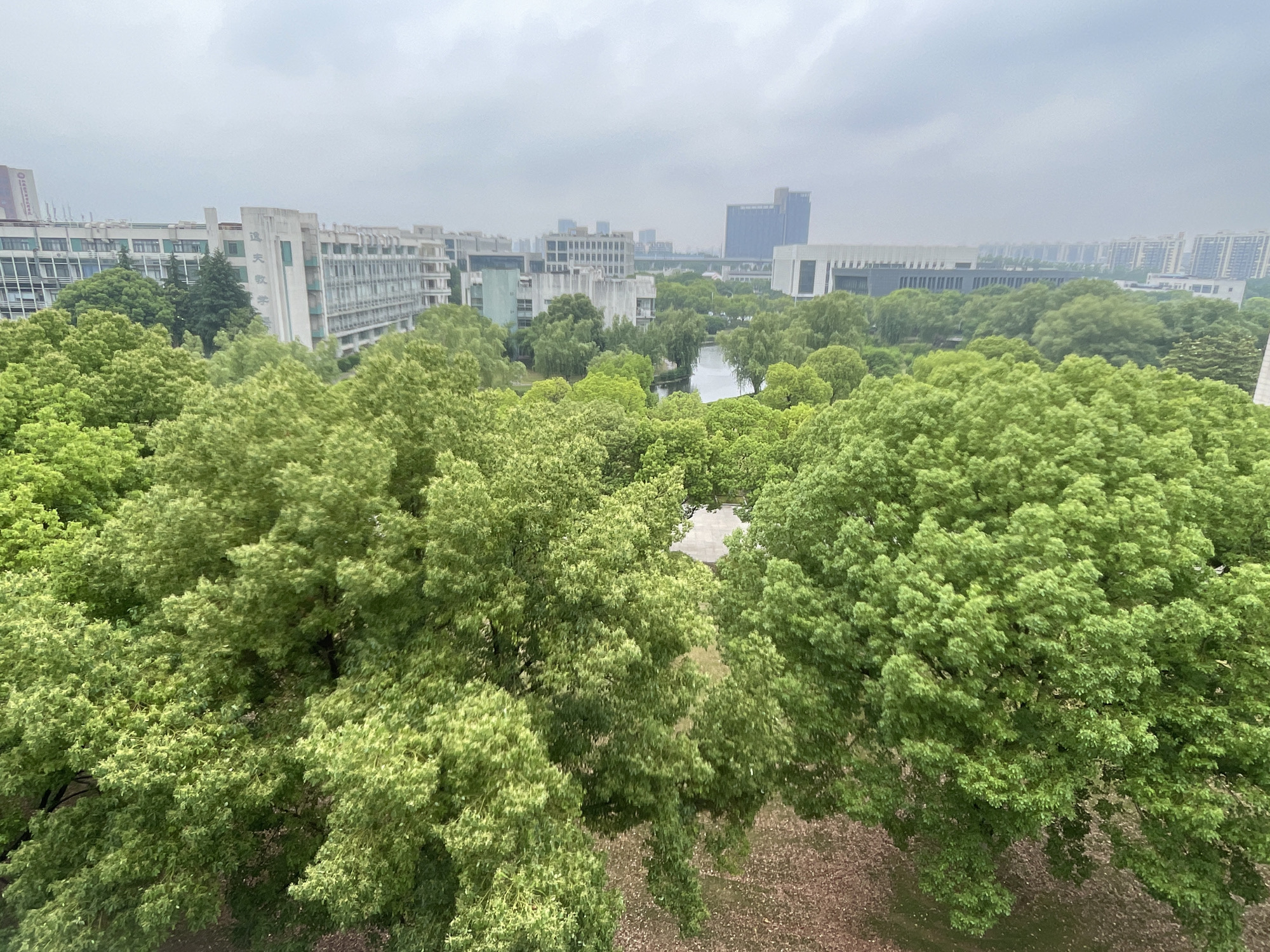 Early morning rooftop observations recorded in Jiangning District