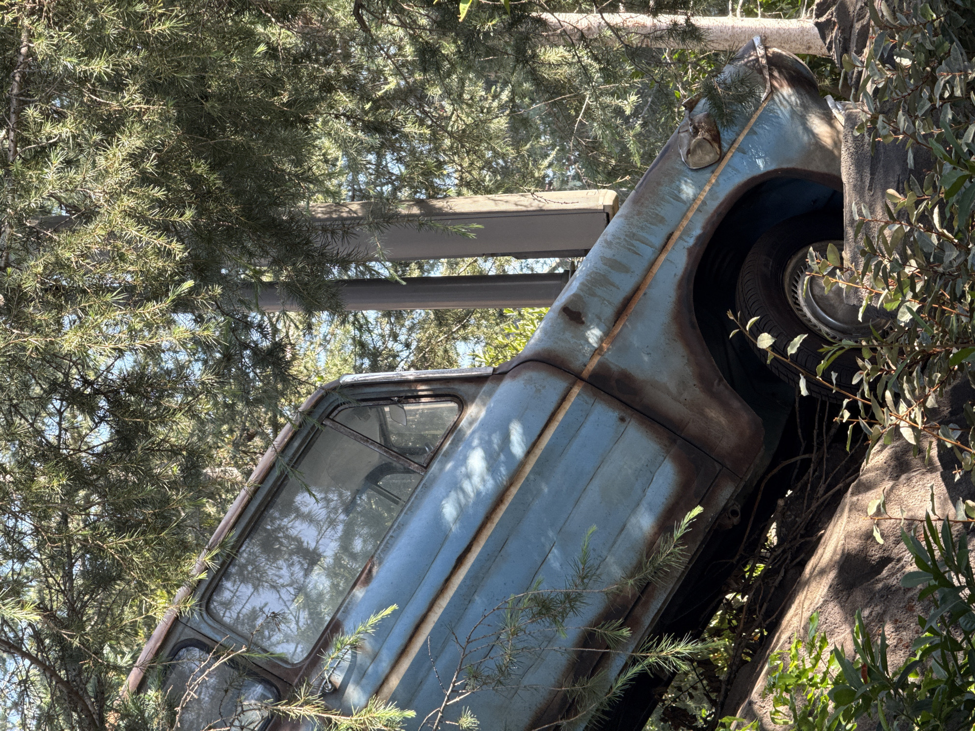 Rusted vehicle found wedged against tree in apparent collision