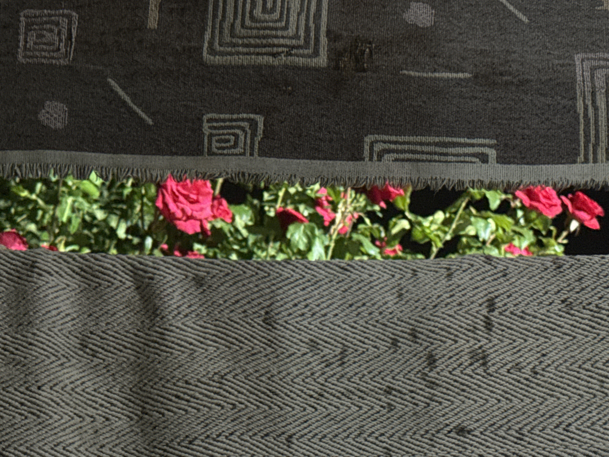 Witness captures fabric detail, greeting graphic, beverage moment