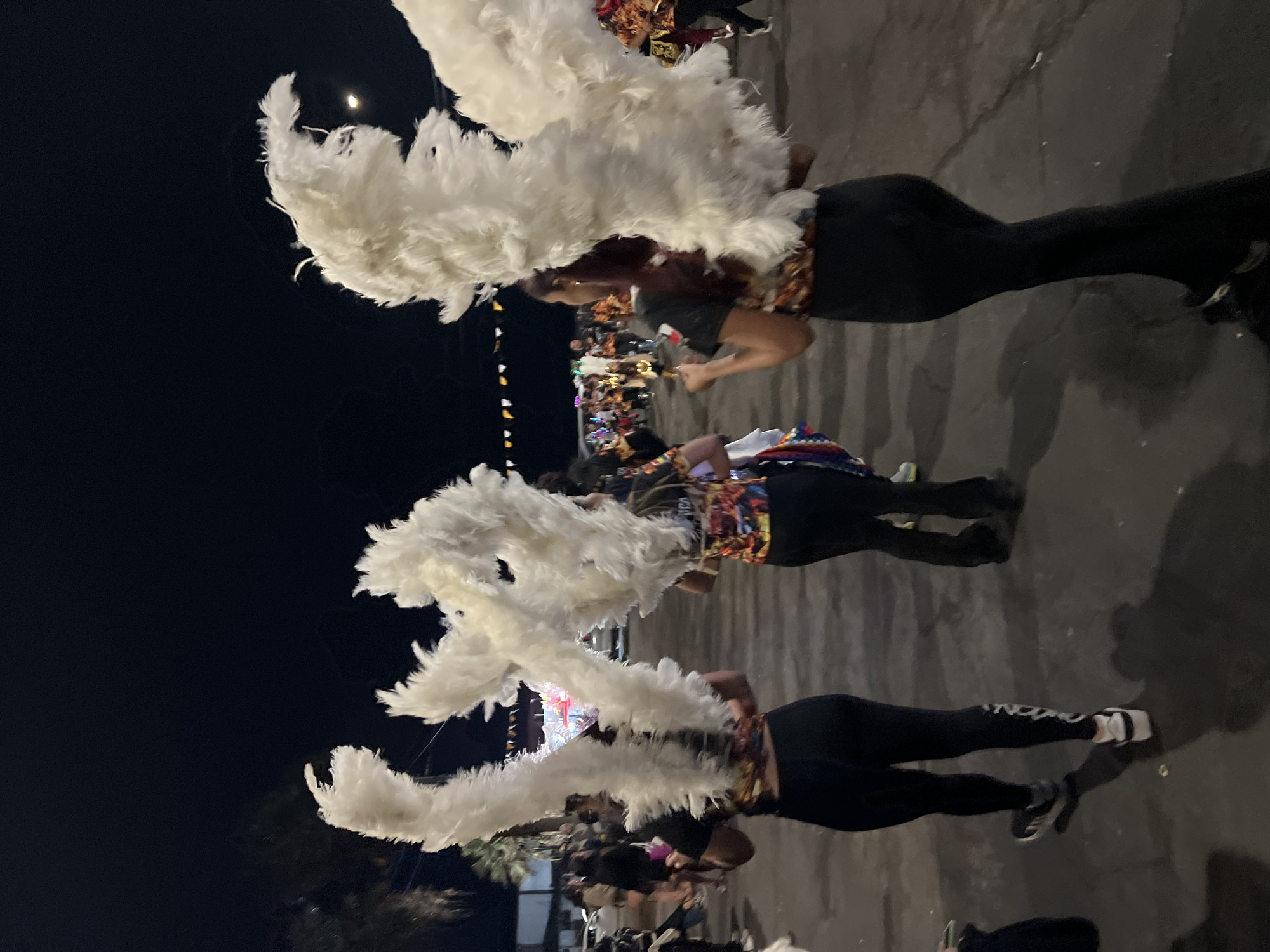 Costumed parade groups fill Arica's streets at night