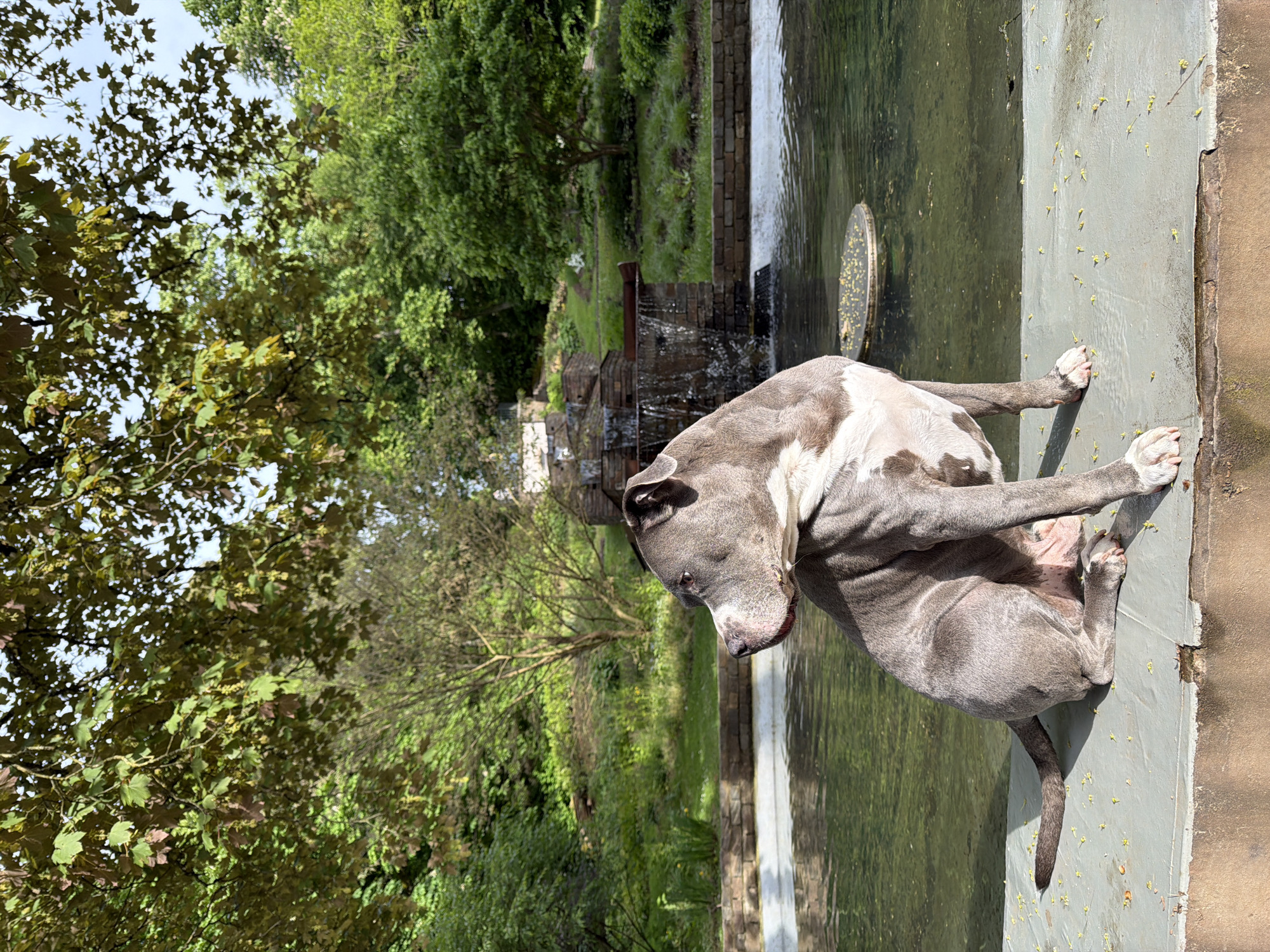 Afternoon park activity documented in Esch-sur-Alzette, Luxembourg