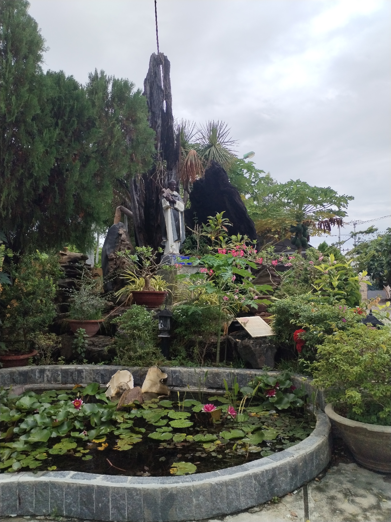 Early morning garden walk documented in Nam Nha Trang Ward