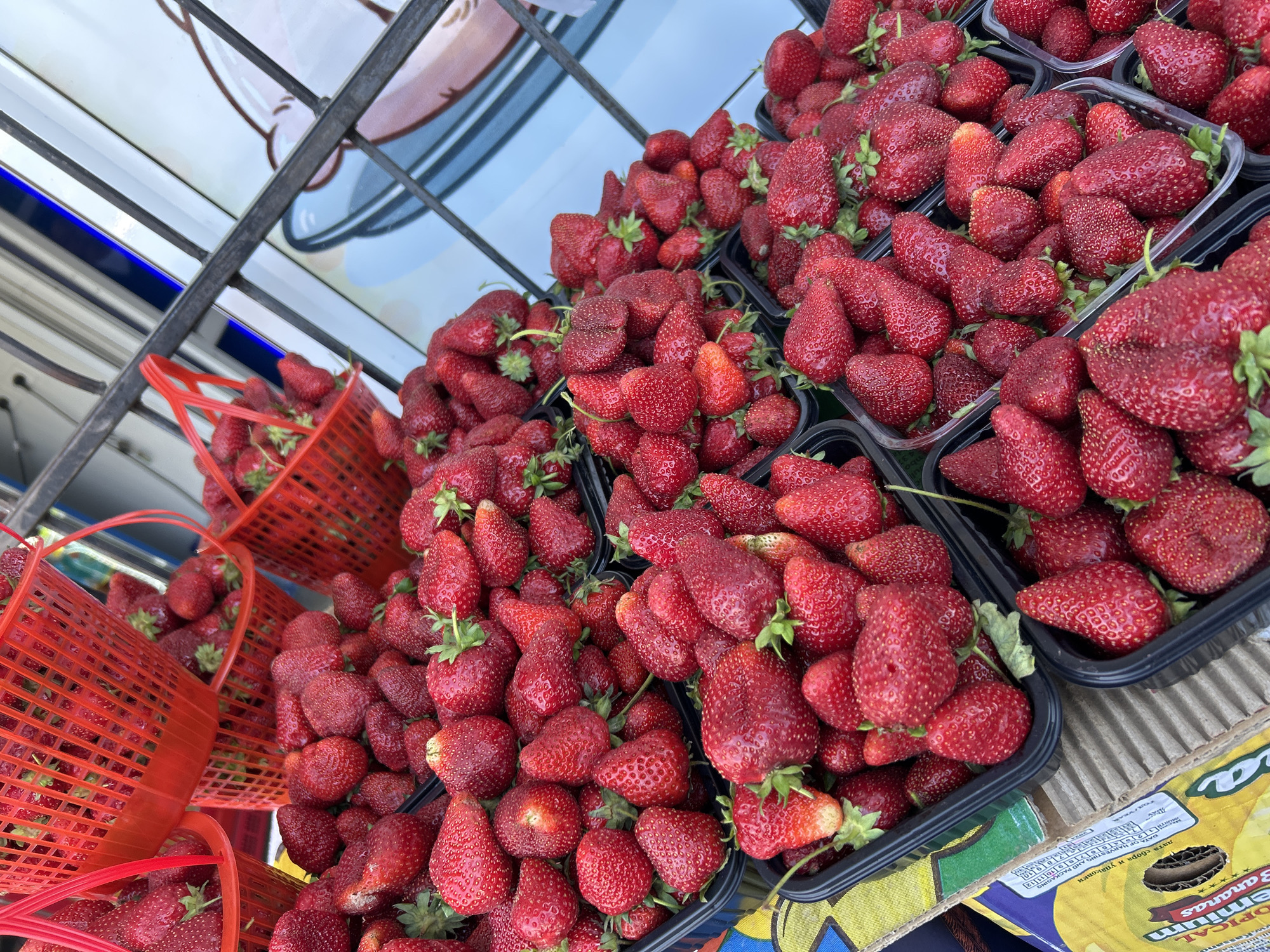 Fresh strawberries displayed at outdoor market in Ақсу, Kazakhstan