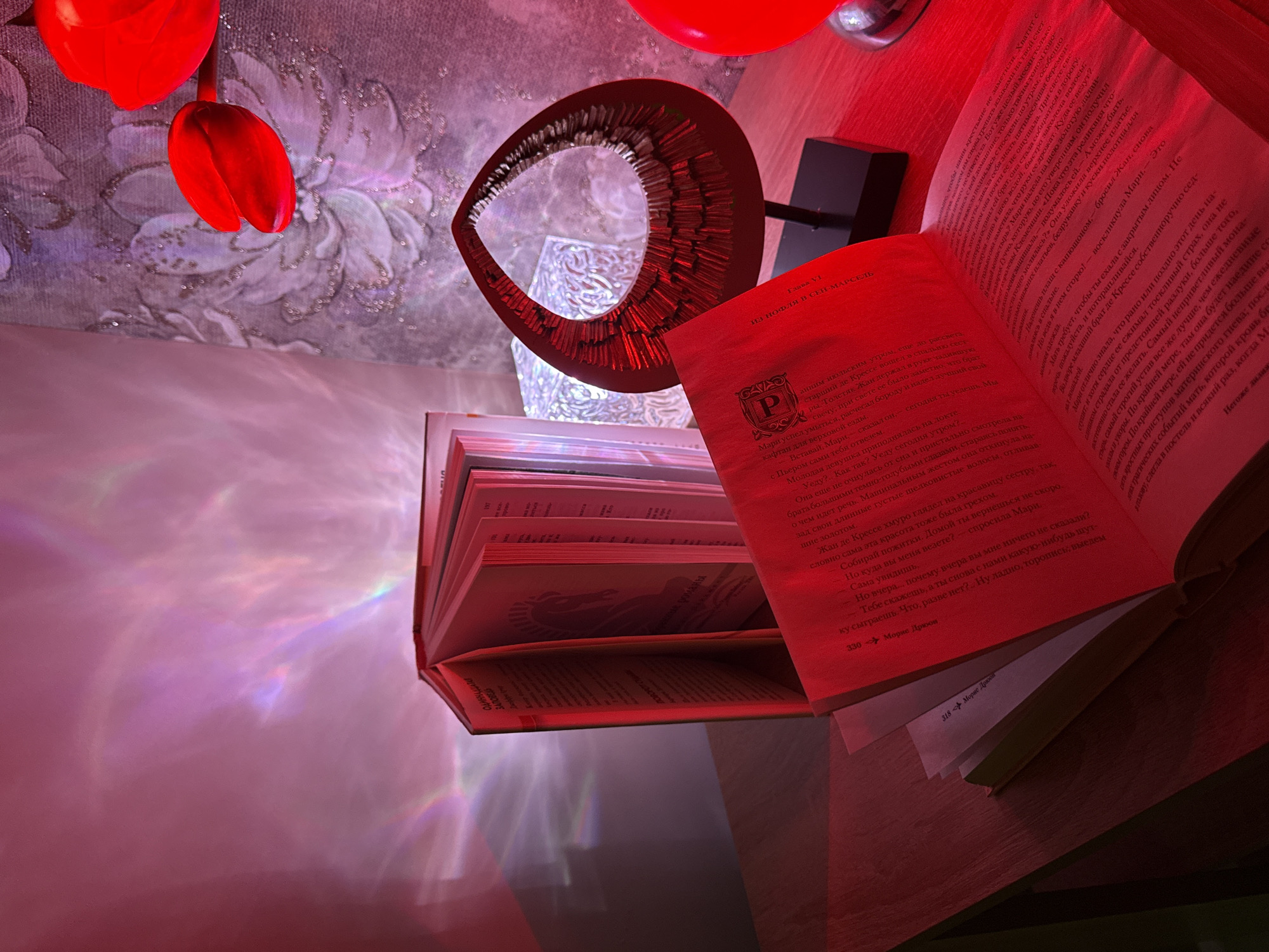 Evening reading scene captured with colorful ambient lighting