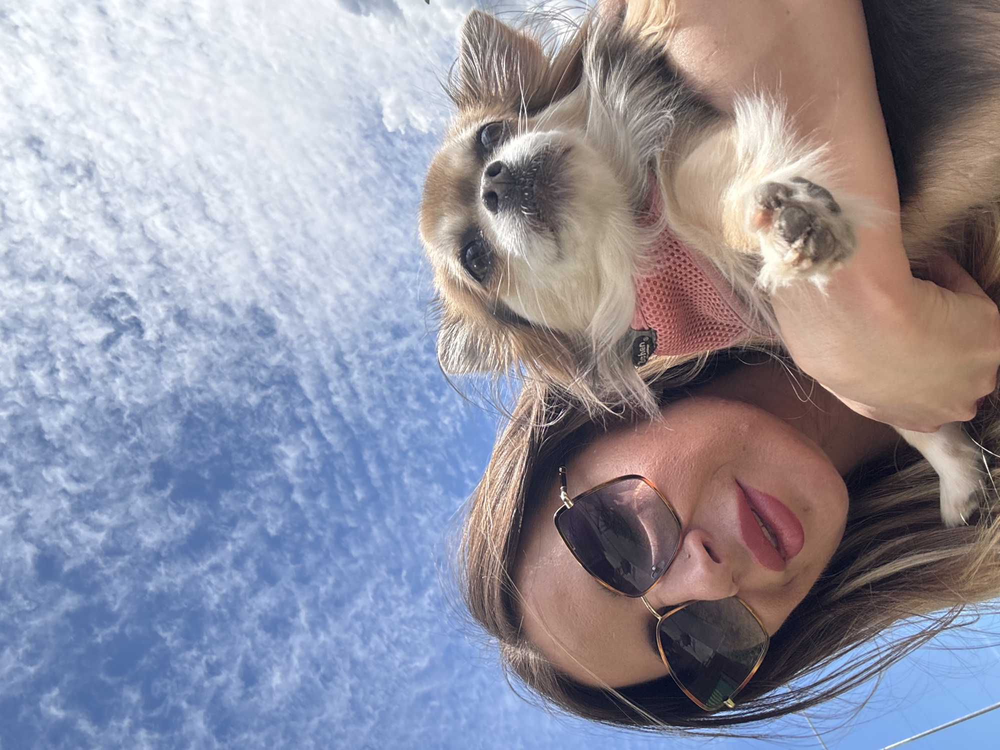 Chihuahua selfies and street scenes on a sunny Saint Petersburg afternoon
