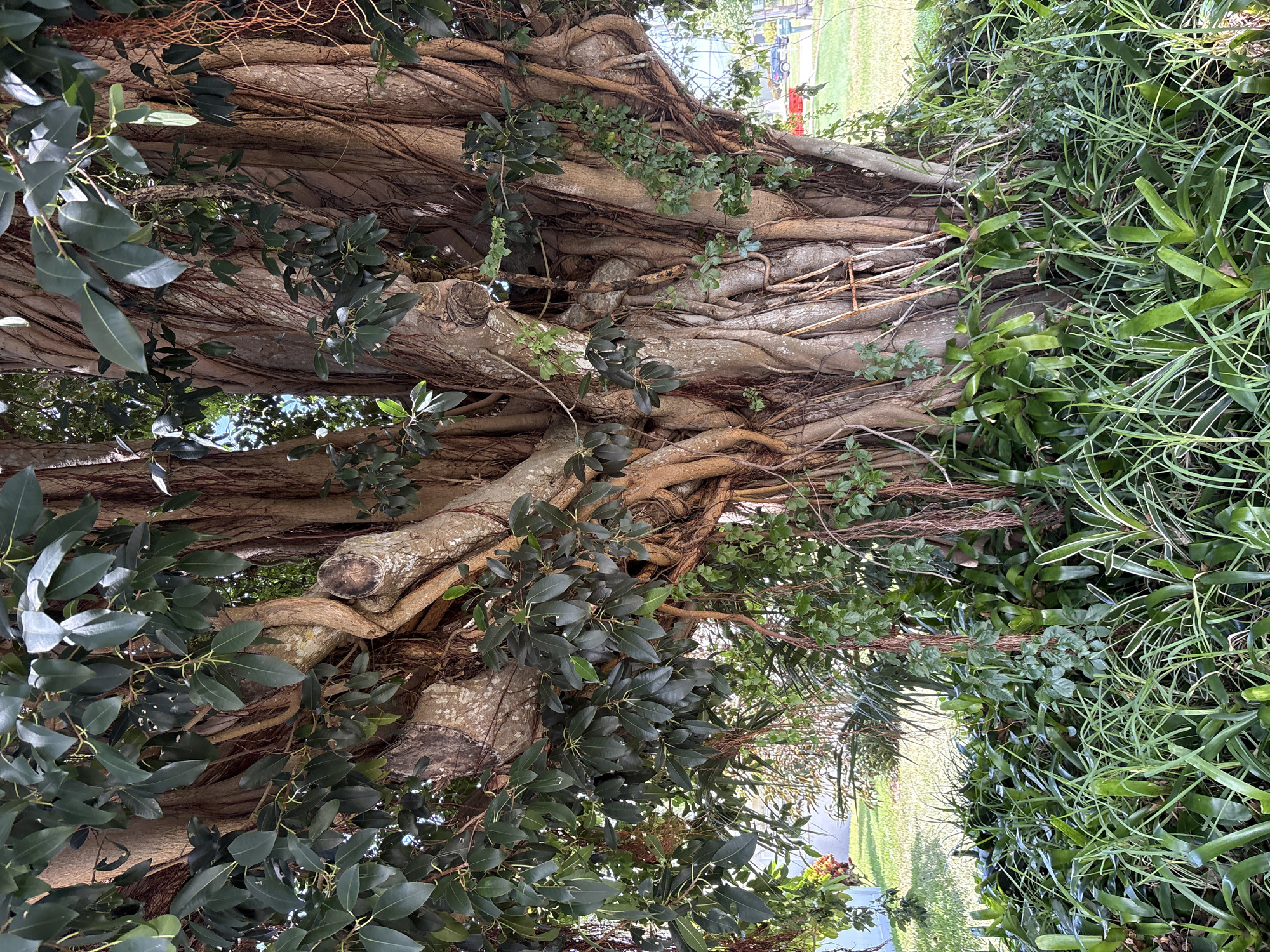 Bradenton, United States
