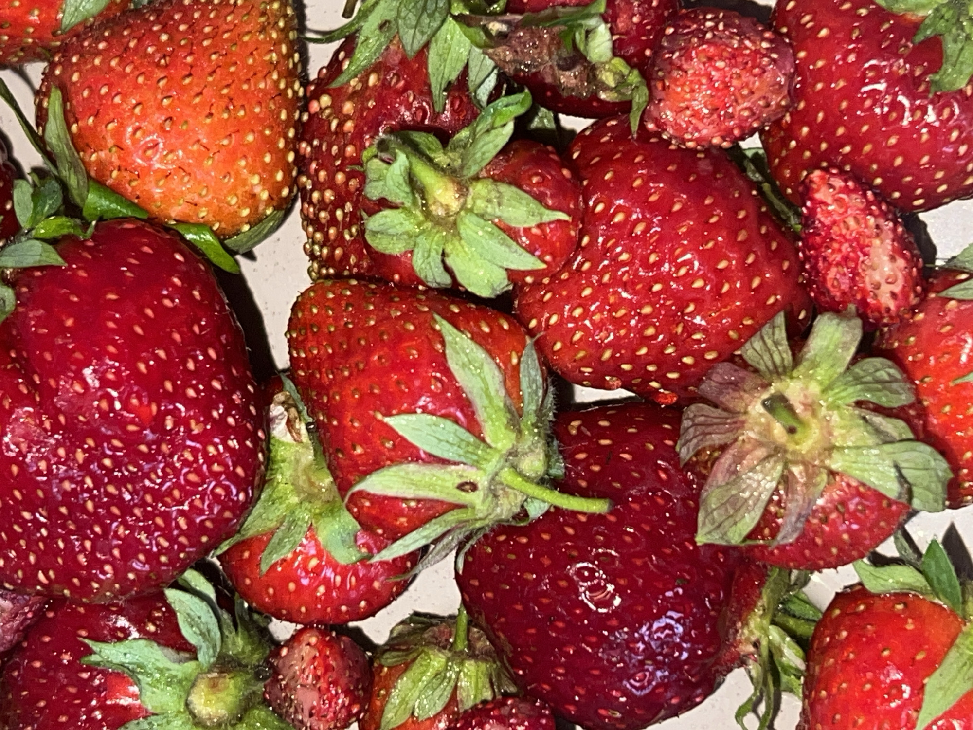 Fresh summer berries laid out in Votkinsk, June