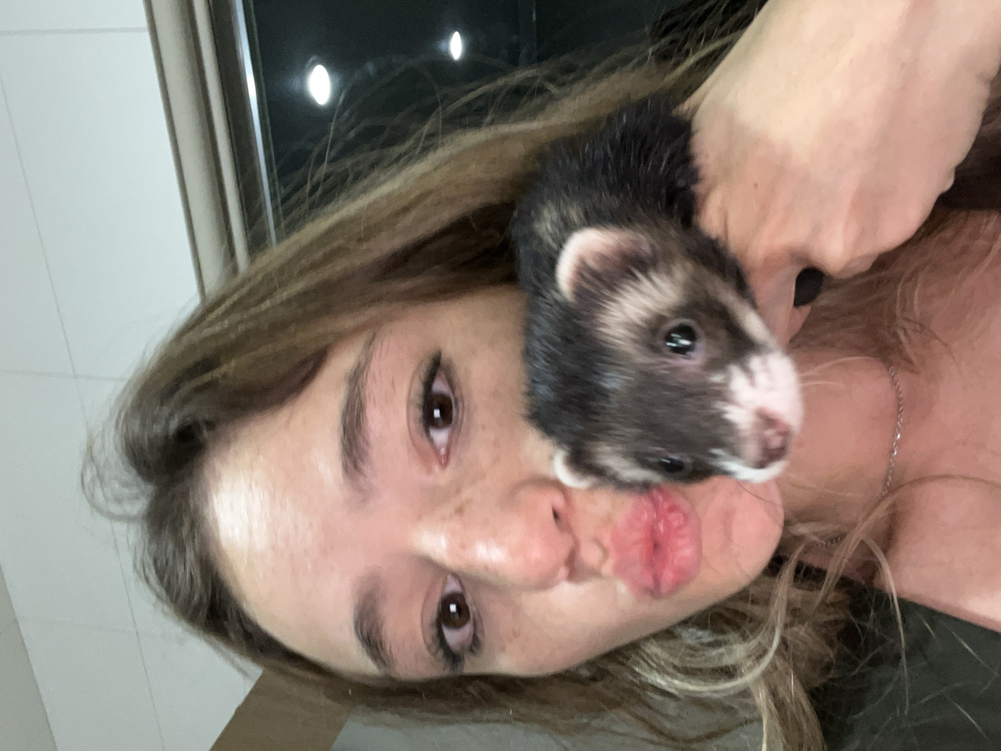 Late-night ferret care documented in Mexican town