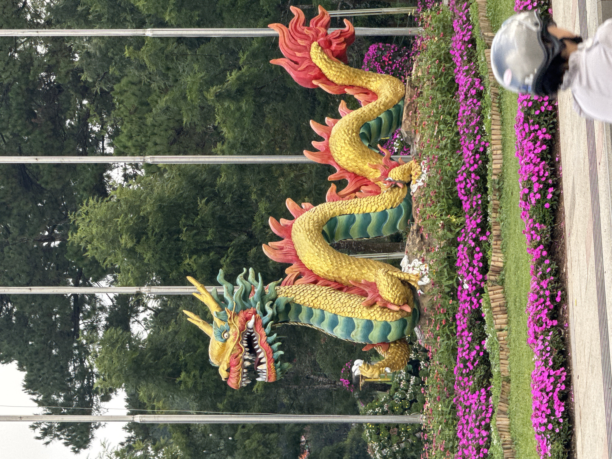 Walking tour through central Đà Lạt's sculptured parks and streets