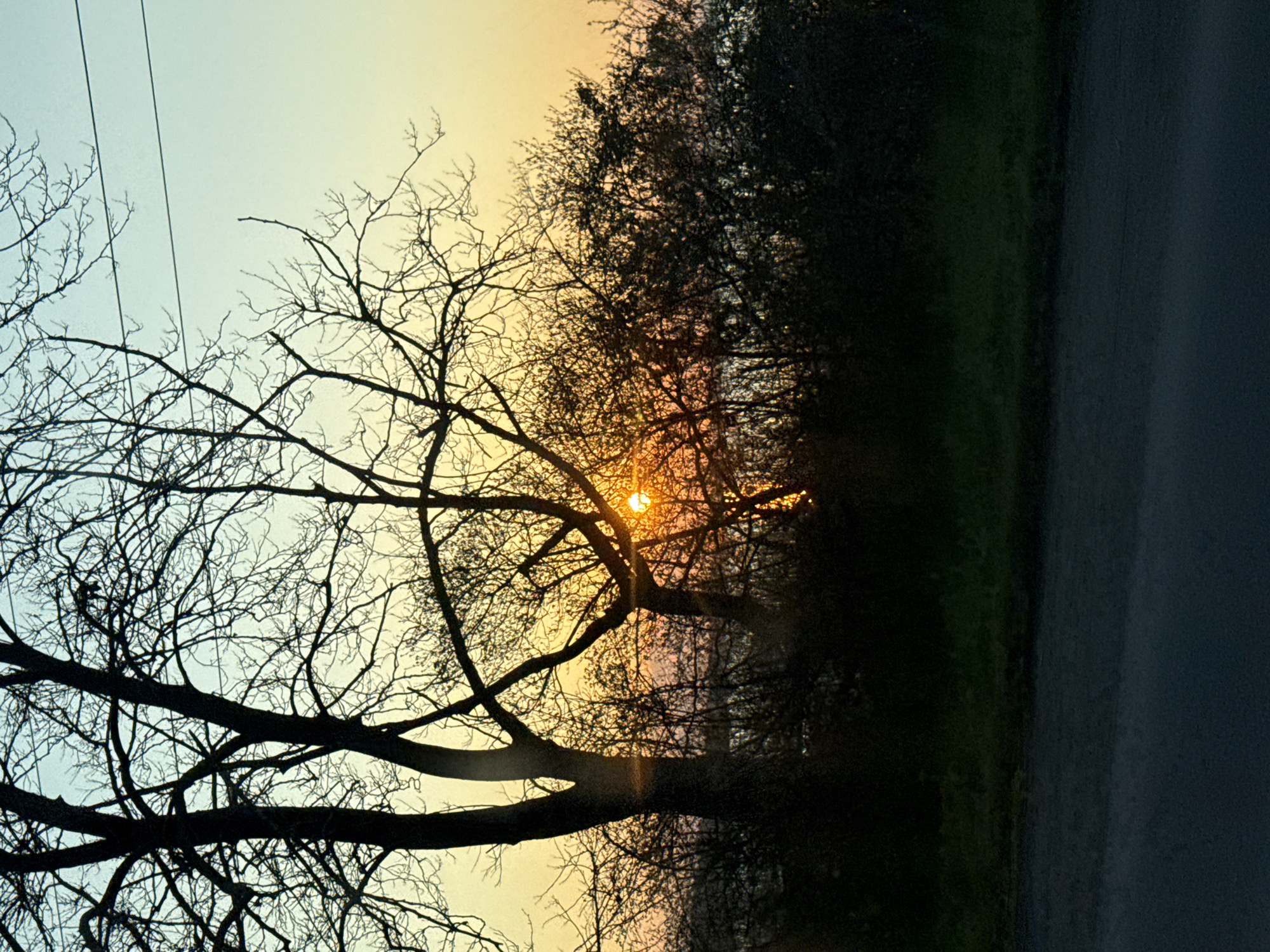 Sunset observed through bare trees in Burgas, Bulgaria