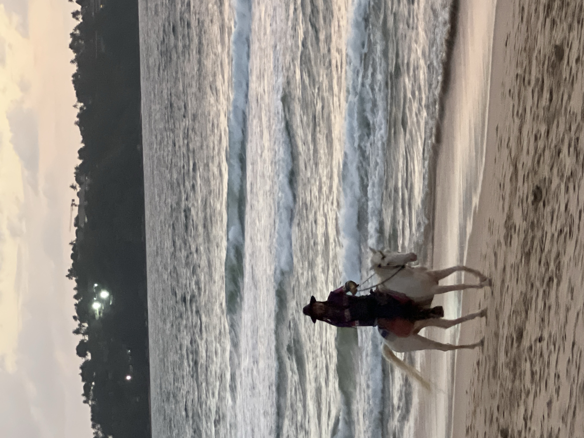 Horseback riding along Choeng Thale beach at golden hour