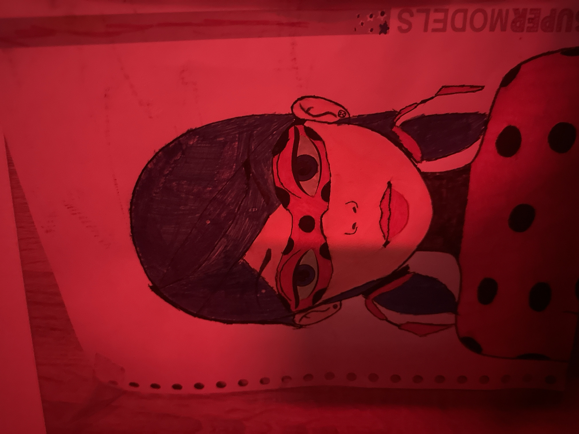 Collector documents anime figurines and personal items under colored lighting