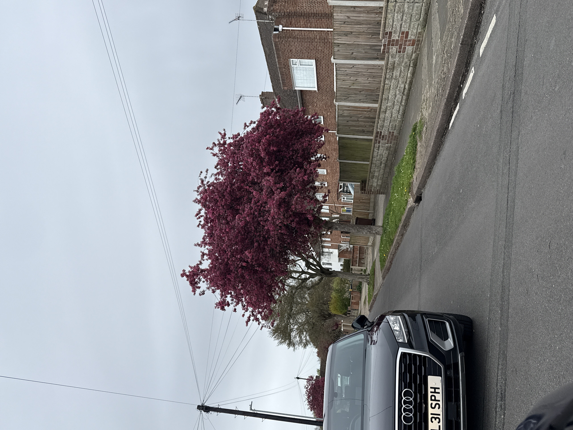 Black Audi SUV parked on Gorleston-on-Sea residential street