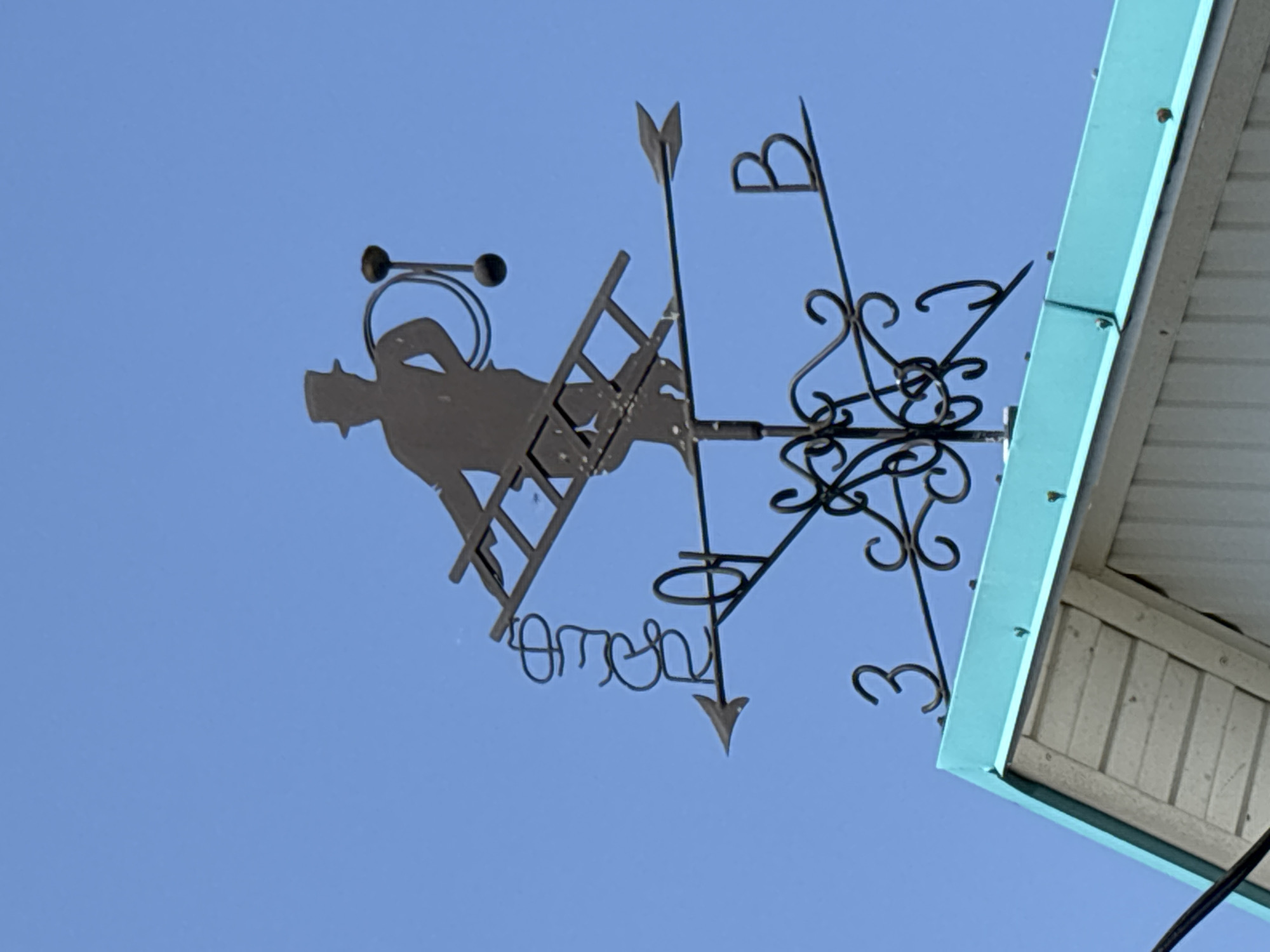 Summer morning details in a Russian village: flowers, a dog, a weathervane