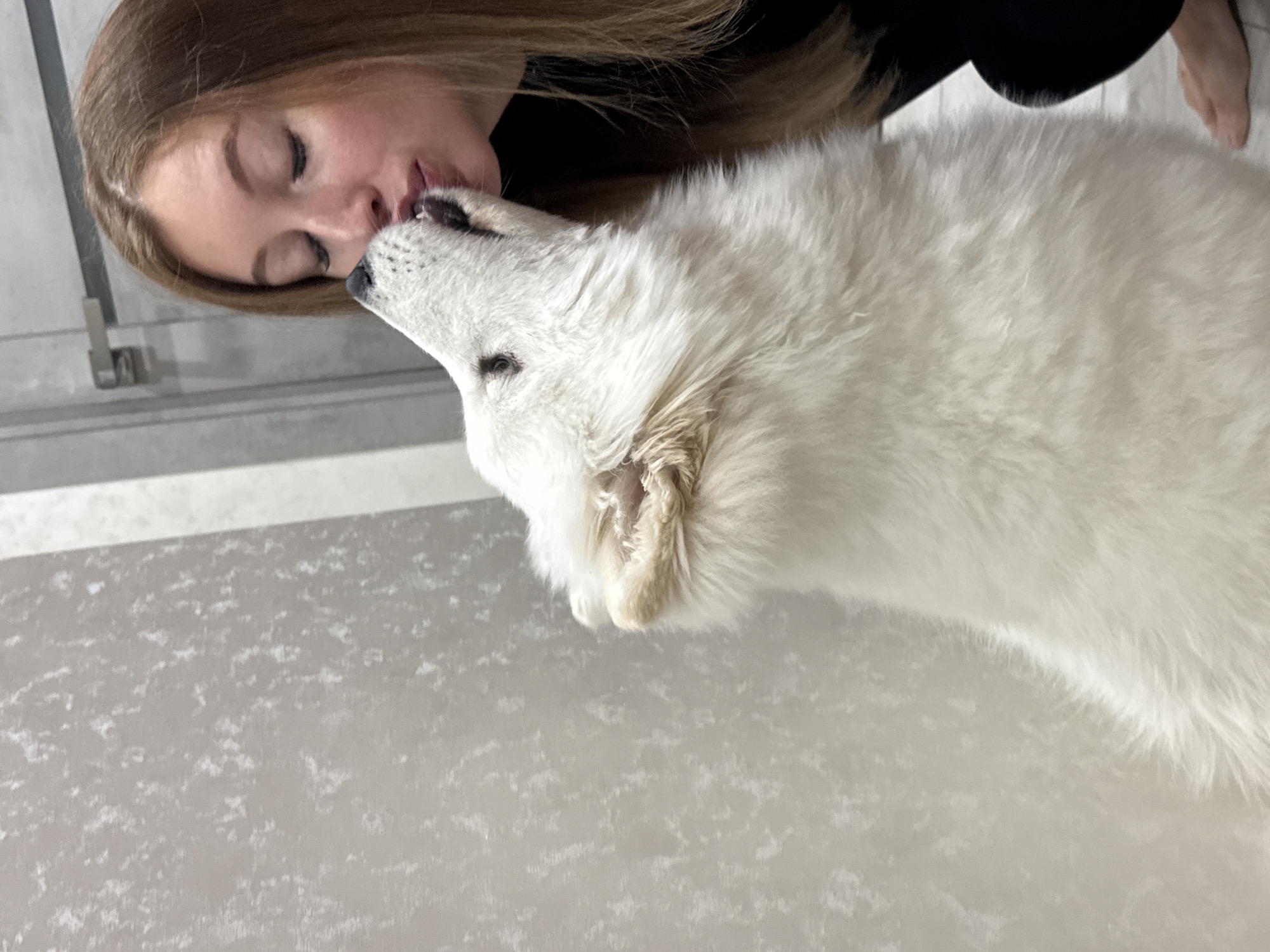 Morning moments with pet and gymnasium captured in Chaikovsky