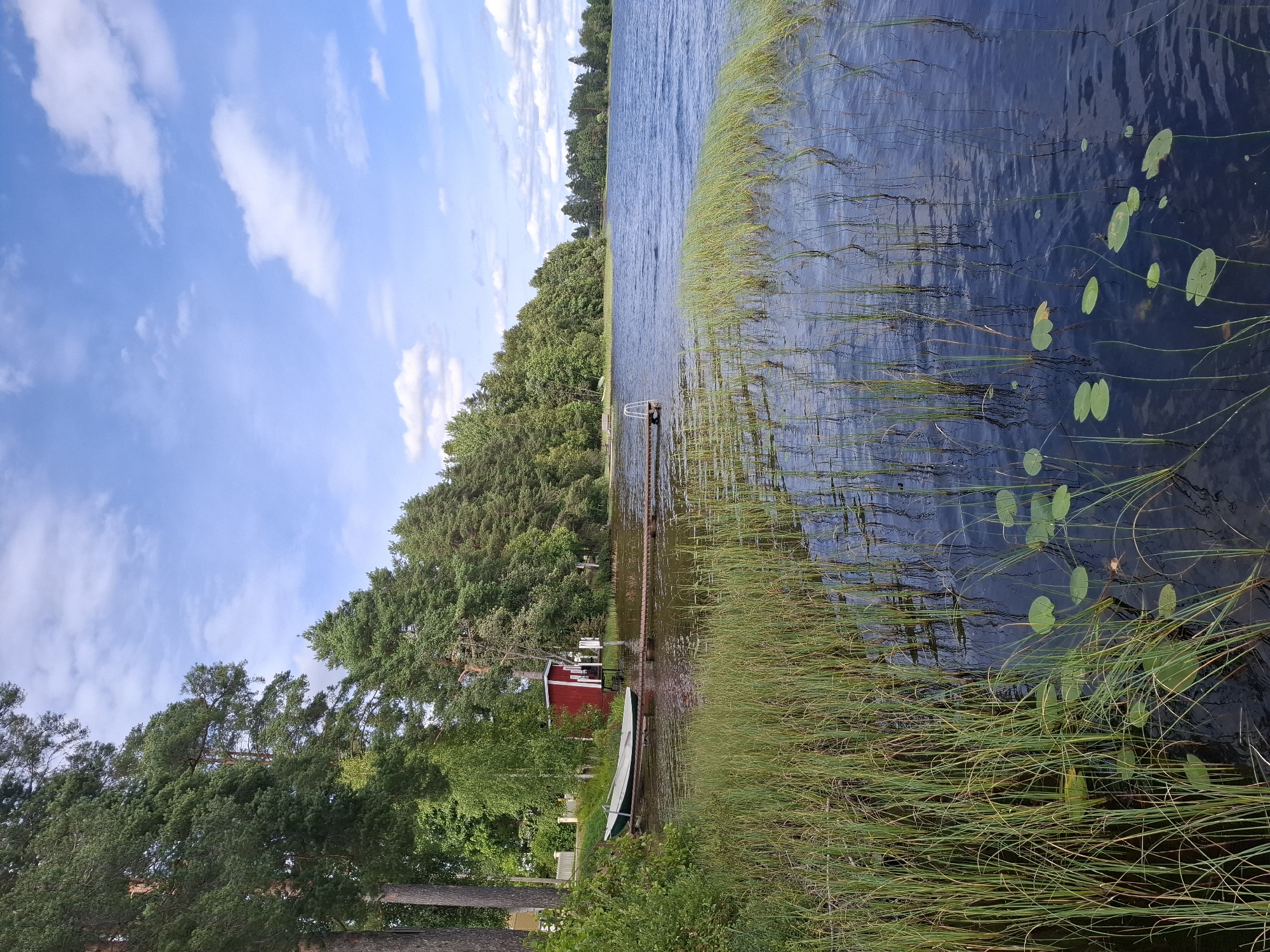 A Finnish summer morning by the lakes of Mikkeli