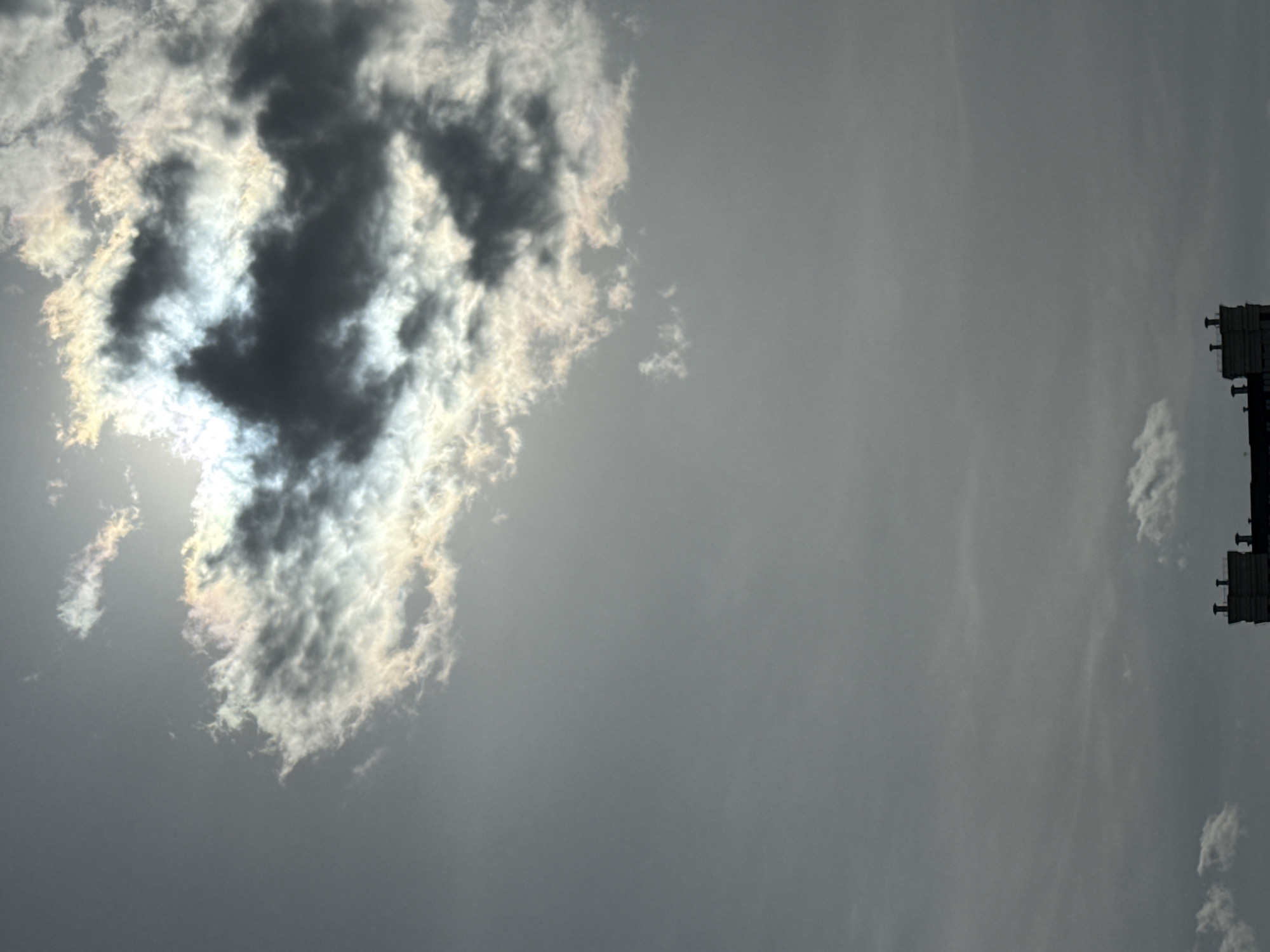Person and cat share quiet morning moments amid dramatic skies