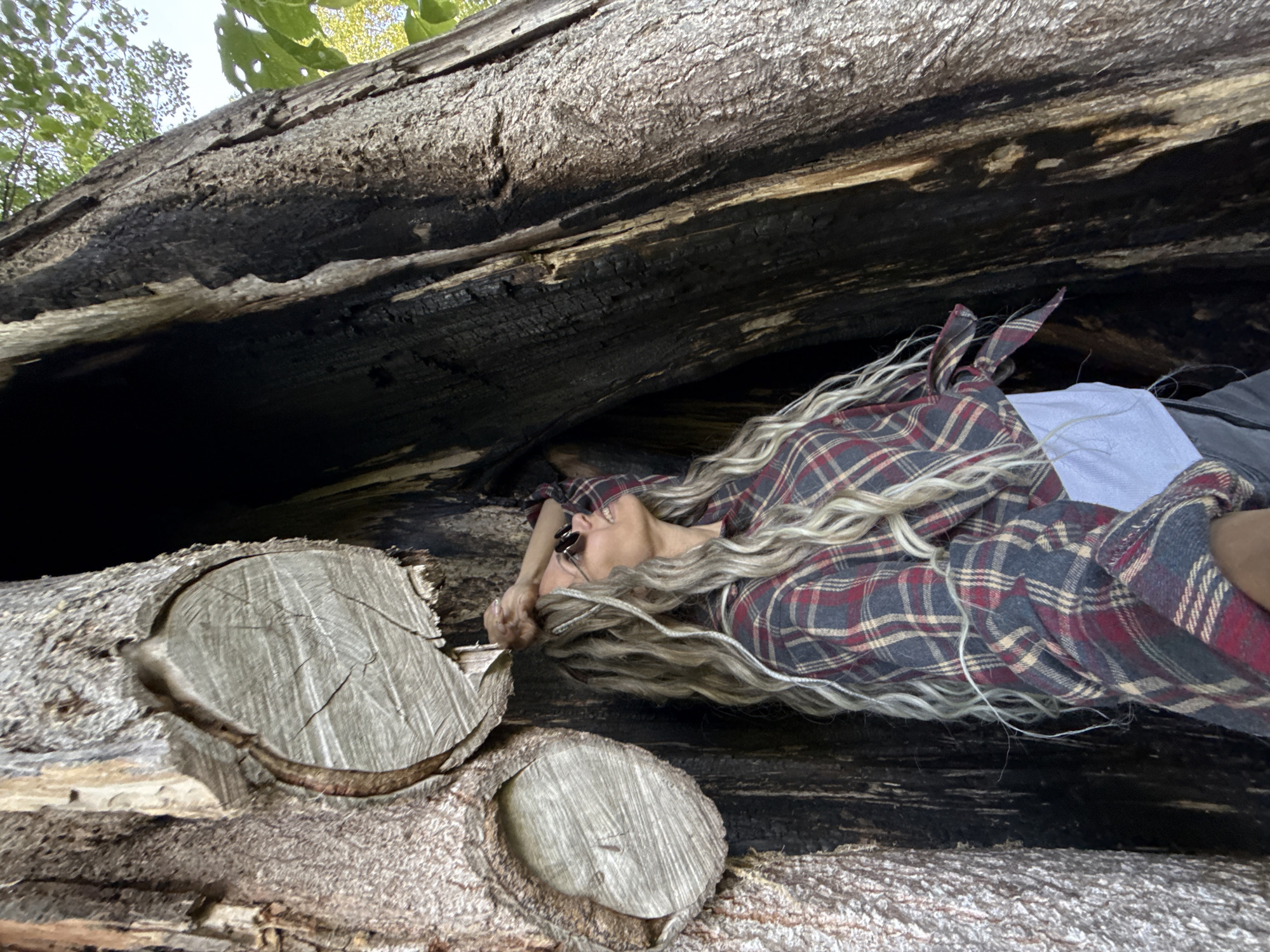 Person rests inside hollow tree trunk in rural Russia