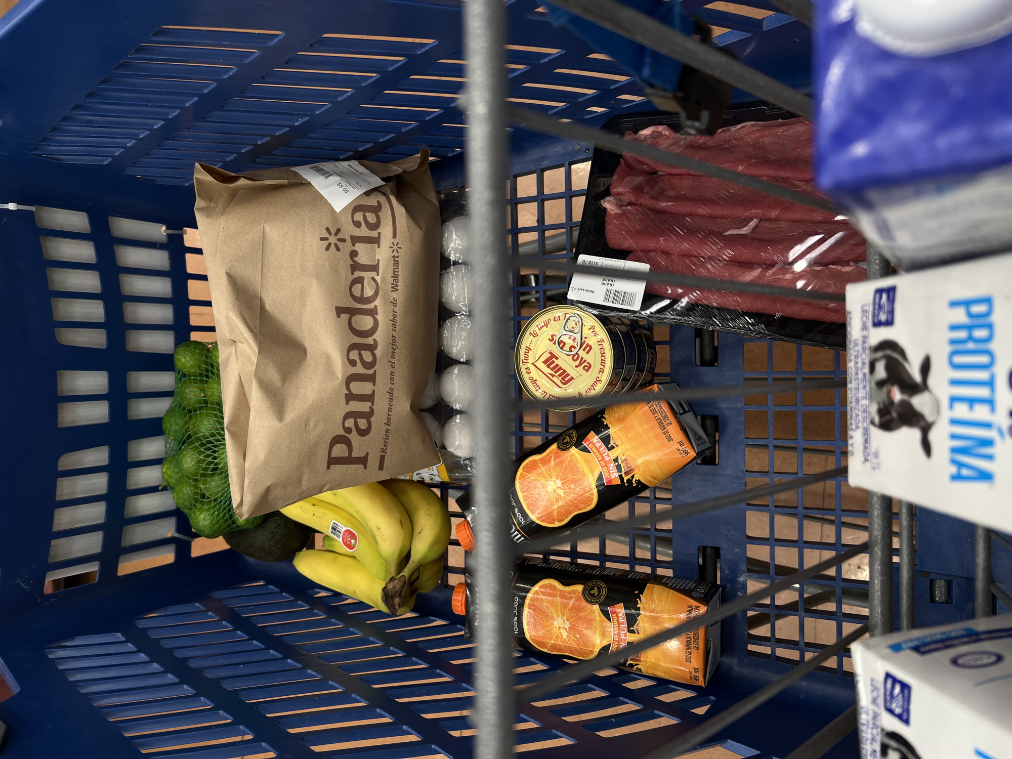 Grocery shopping cart photographed at Mexico City supermarket