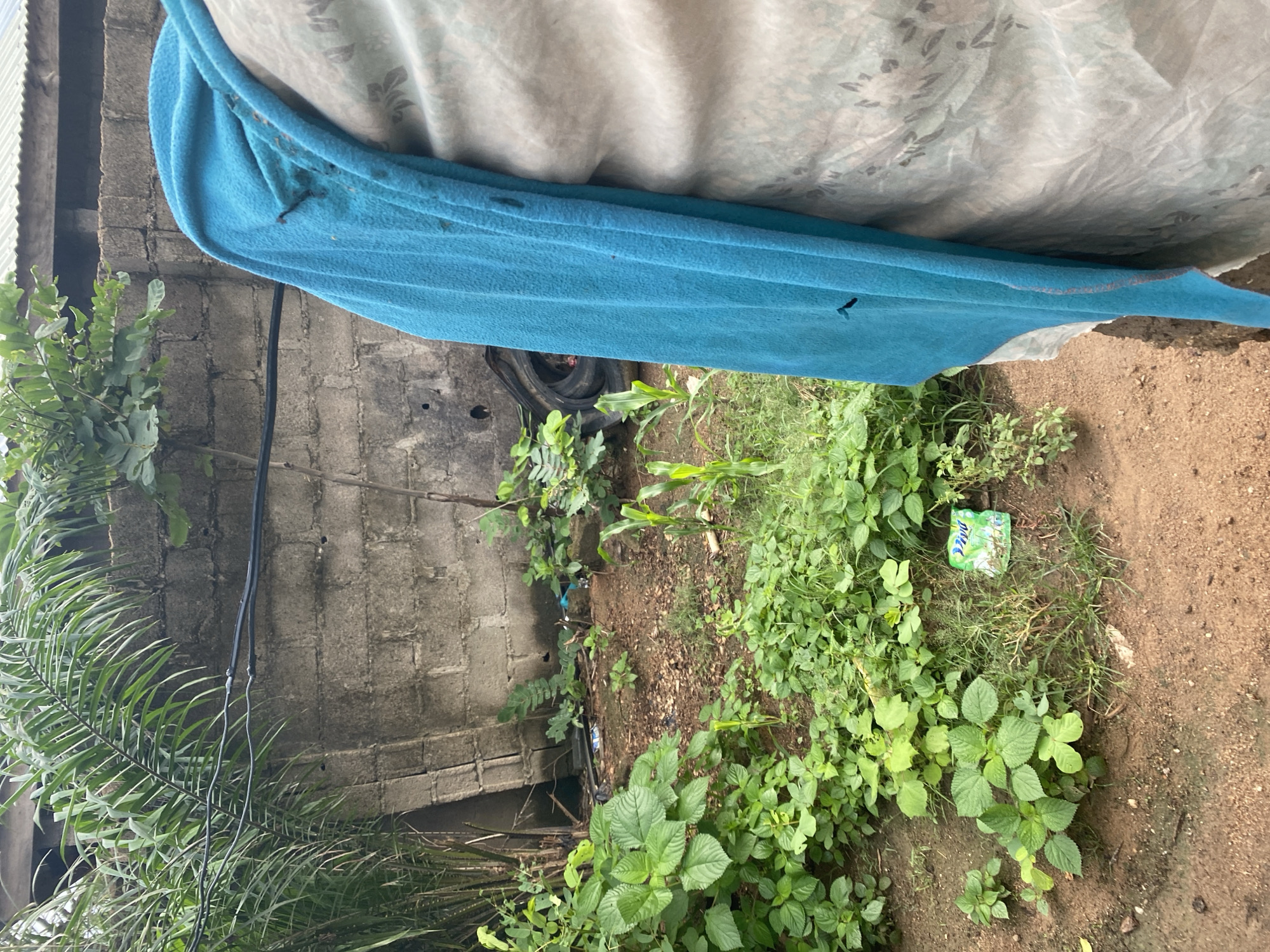 Inside a Jalingo compound: tools, firewood, and daily household scenes