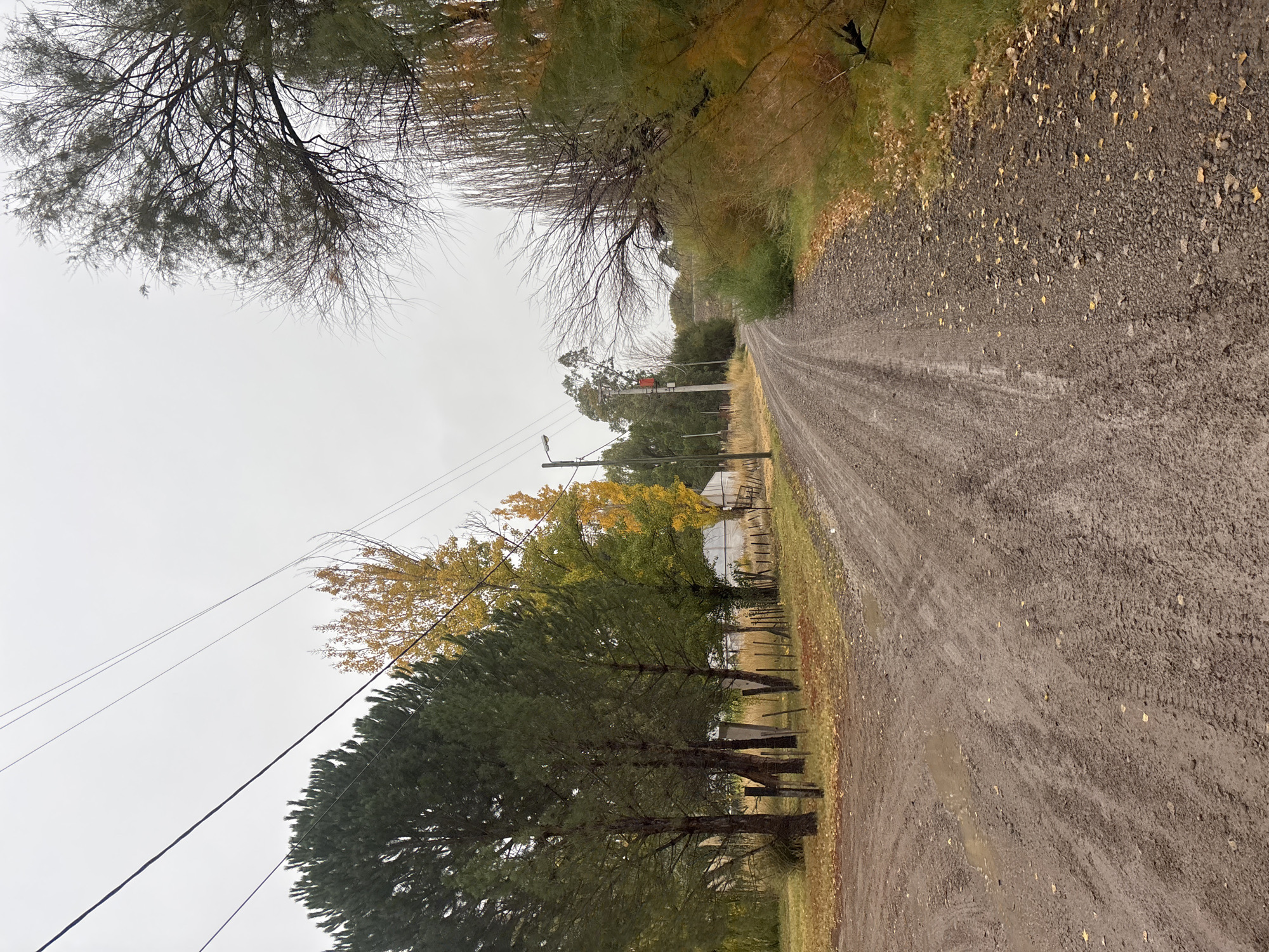 Autumn evening captured on muddy rural road in Trelew
