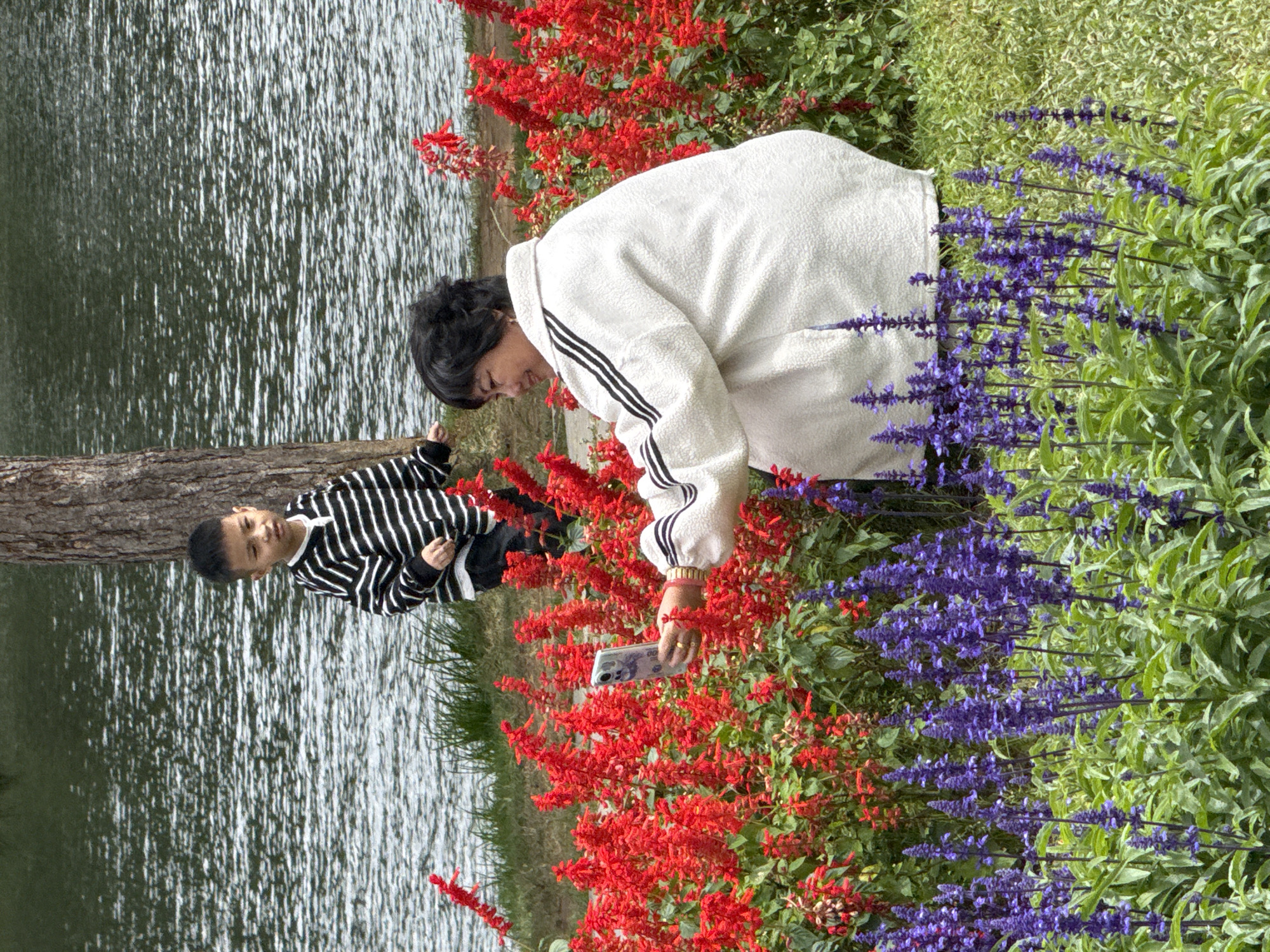 Da Lat's flower gardens and lakeside paths on a busy morning