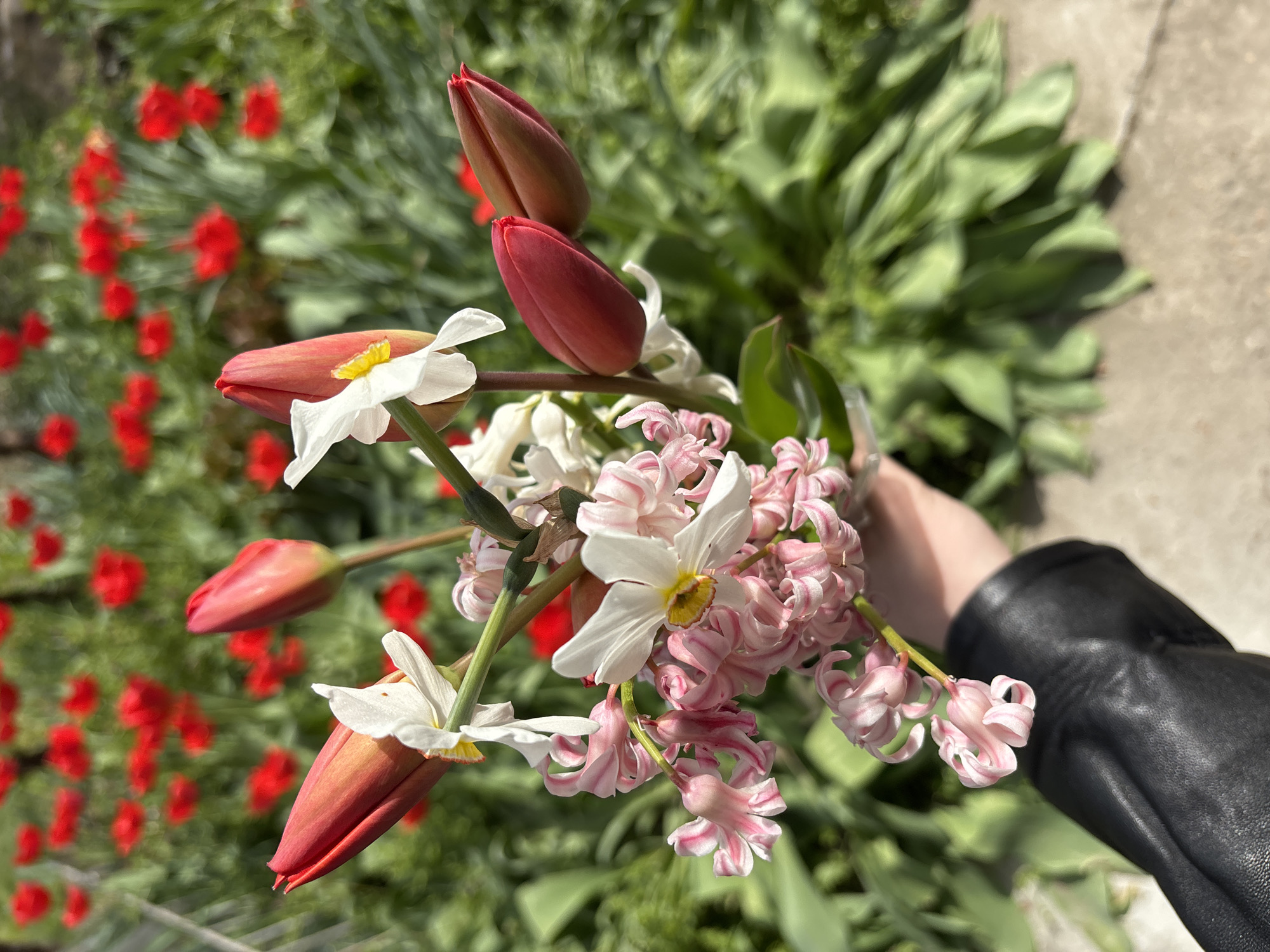 Spring flower bouquet spotted in Bulgarian village