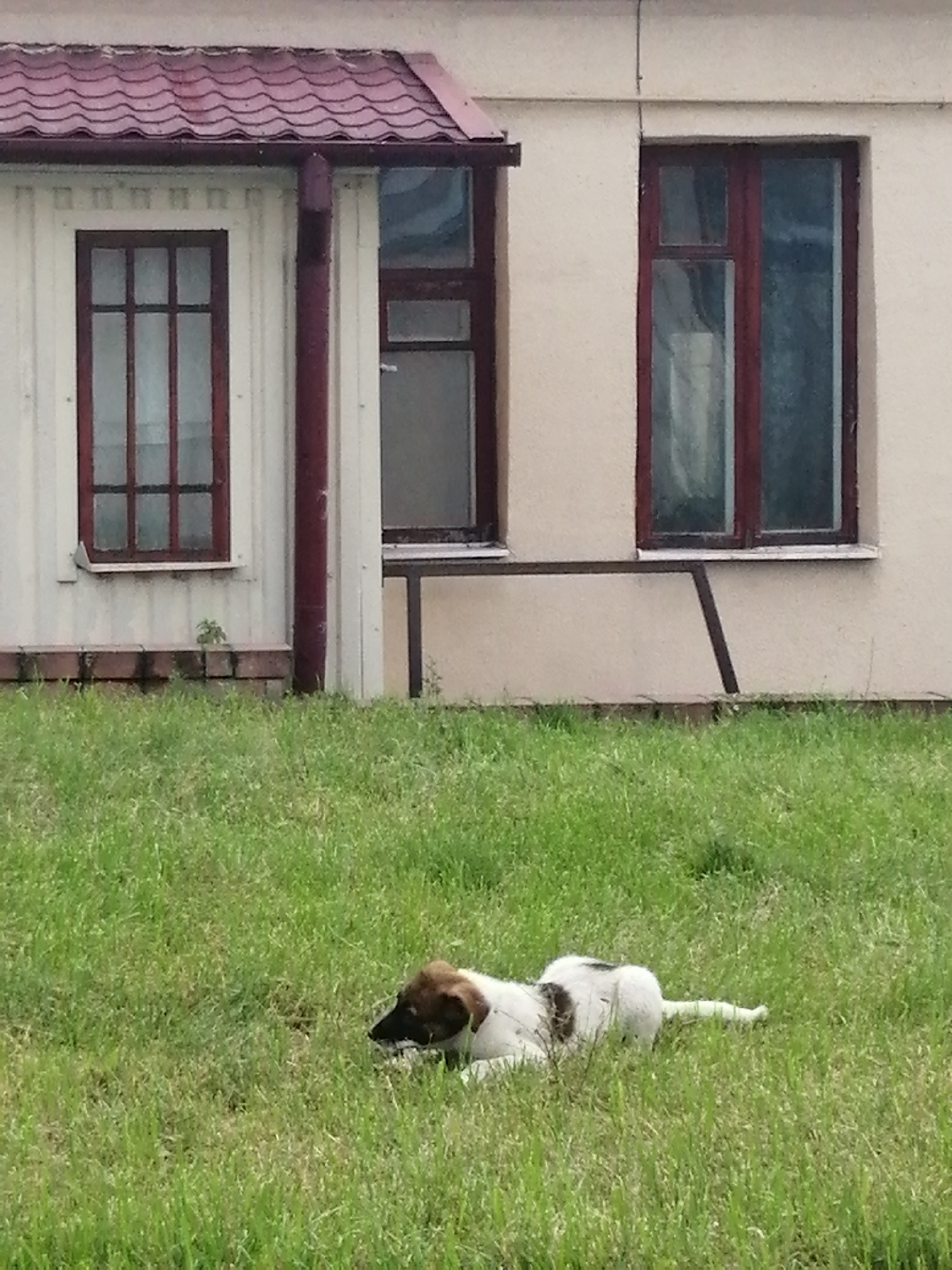 Slonim, Belarus