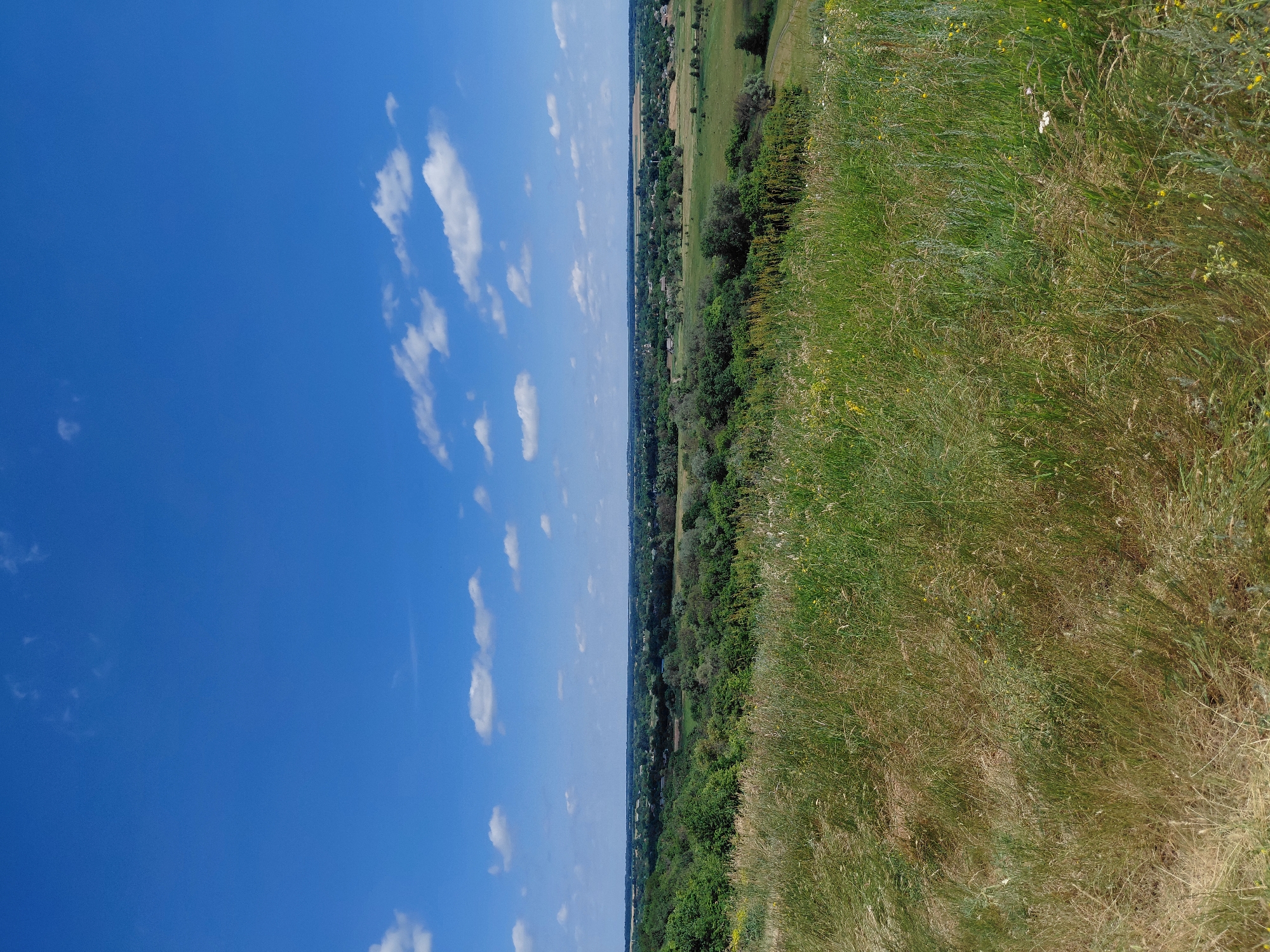 Rustic hilltop lookout with sunflower fields, Ustyvytsia, Ukraine
