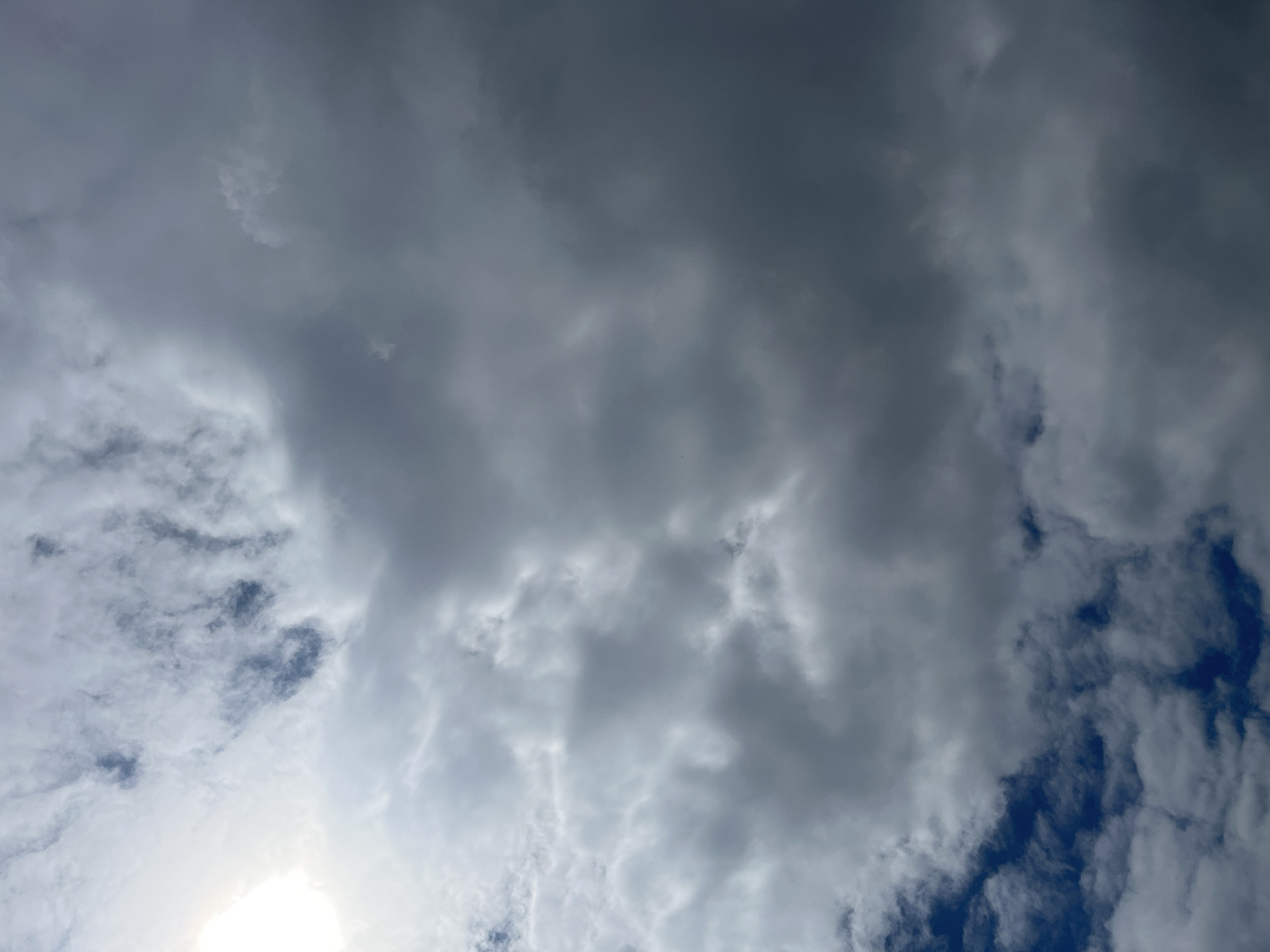 Mixed indoor-outdoor scenes captured during overcast morning hours