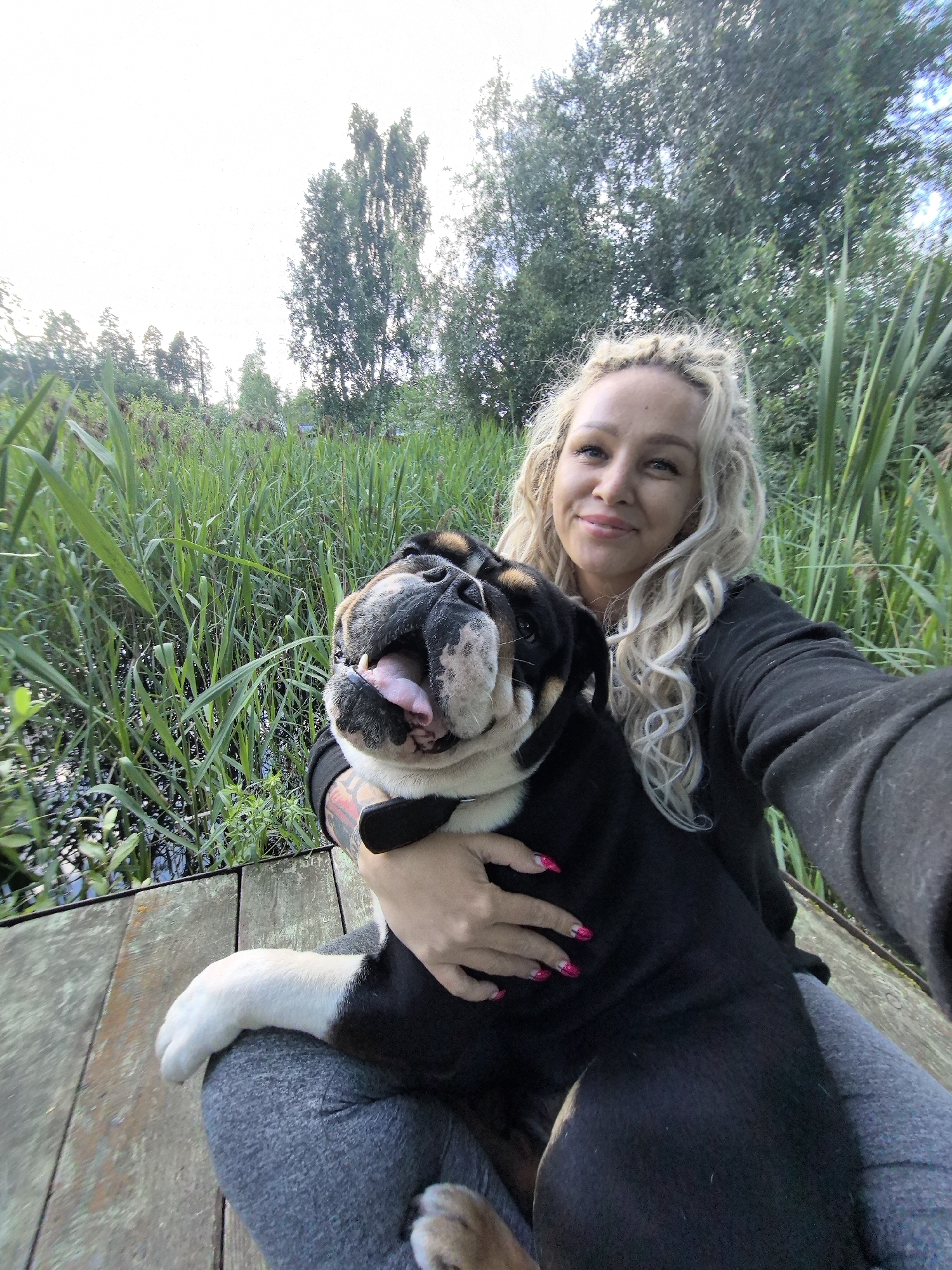 Afternoon on a Russian deck with a bulldog and a vivid sunset sky