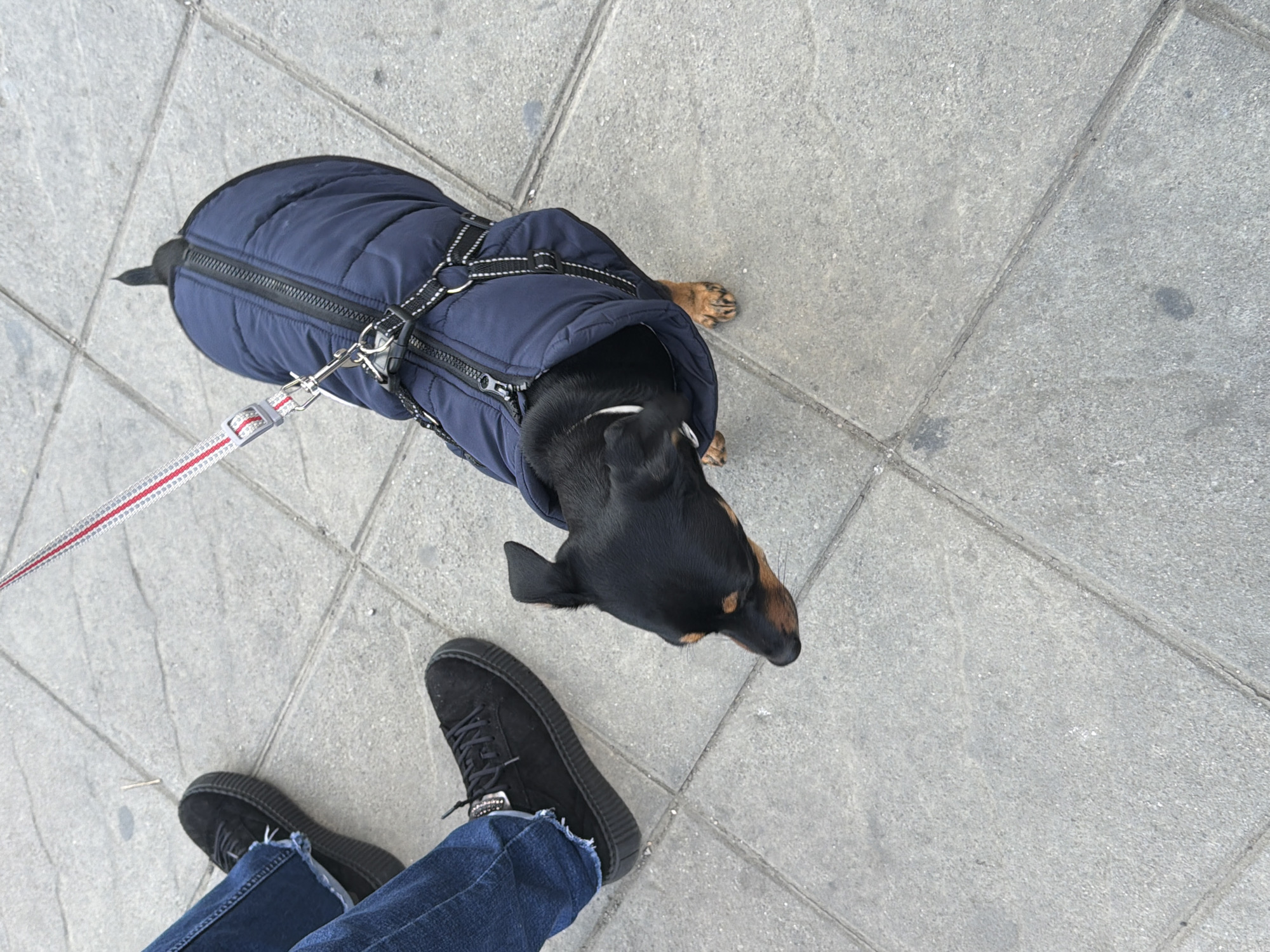 Afternoon street scenes and daily life documented across Sofia