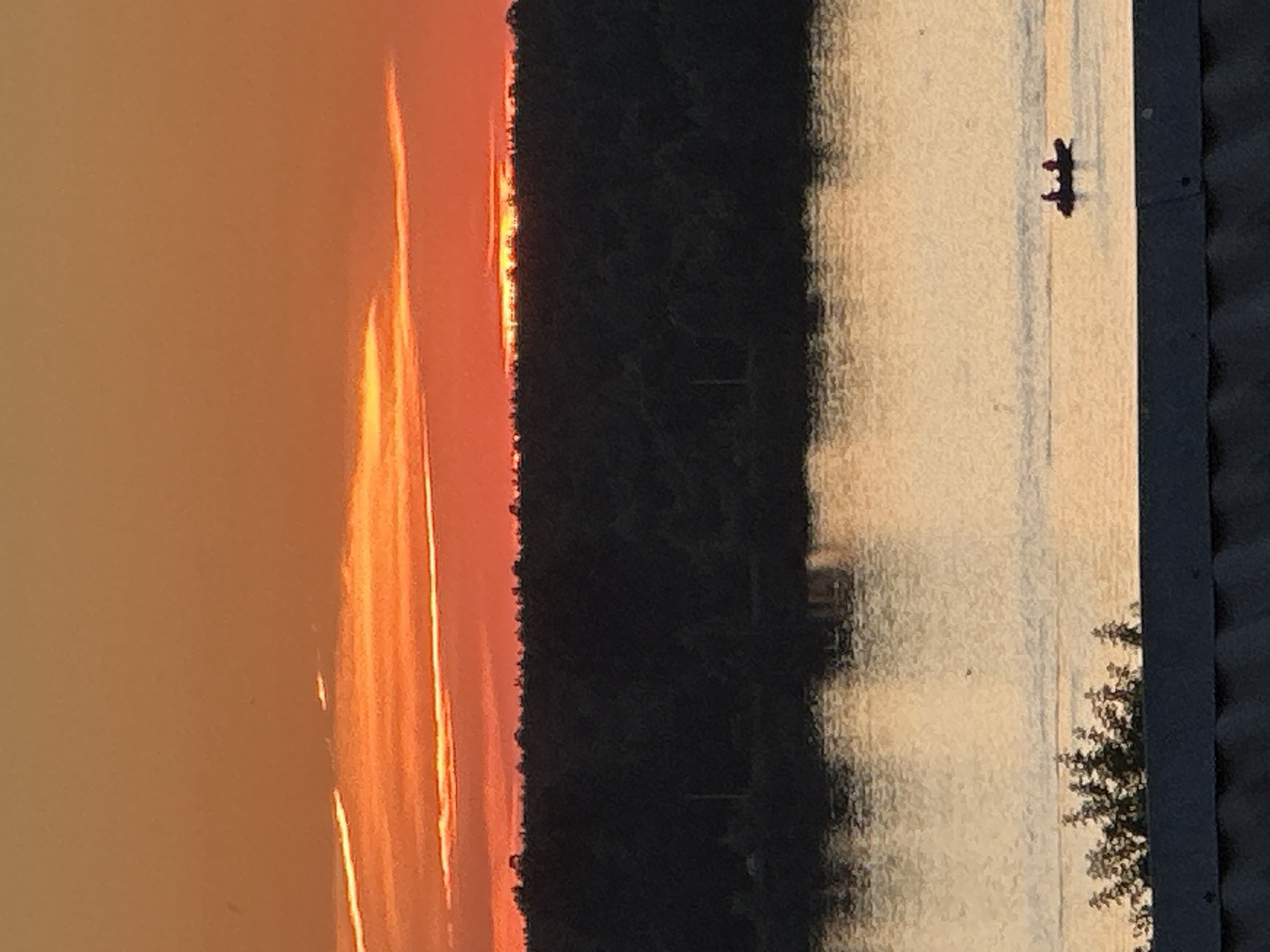 Kama River sunset and apple trees in Chaikovsky, Russia