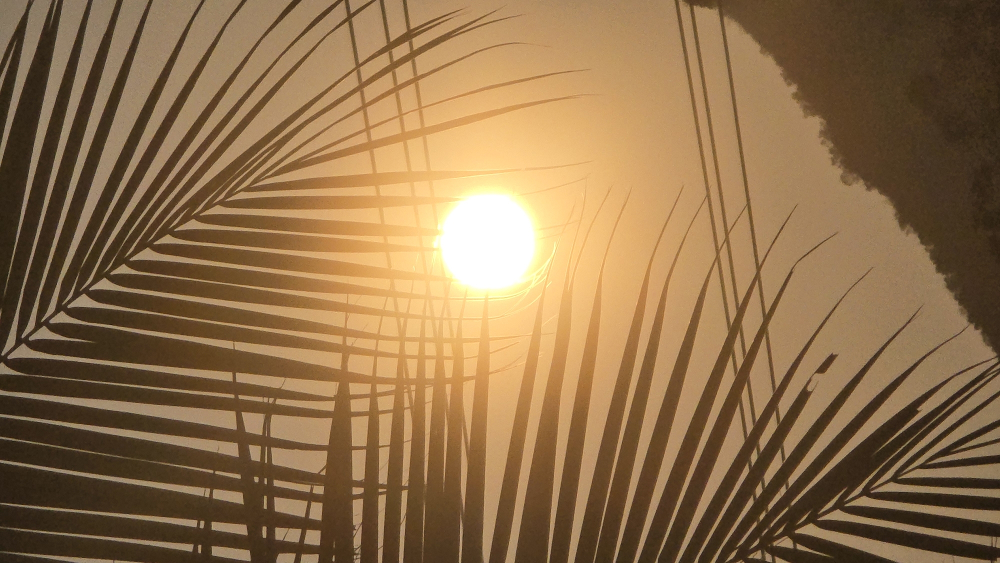 Golden hour moments captured across Bắc Nha Trang streets