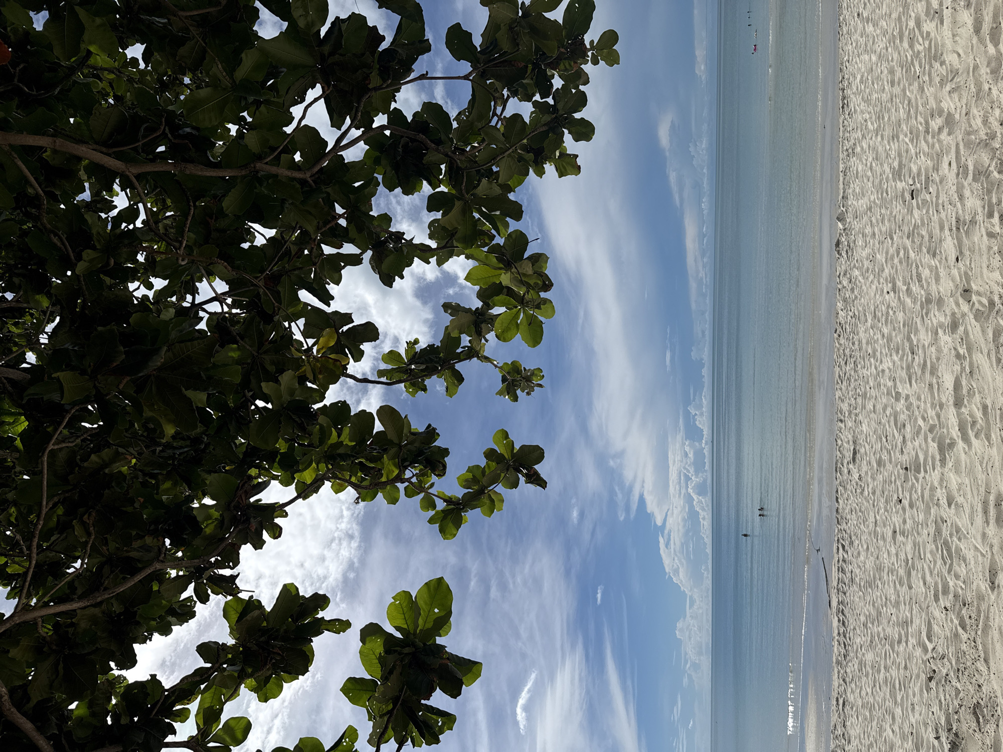 Chaweng Beach resort grounds and shoreline, midday