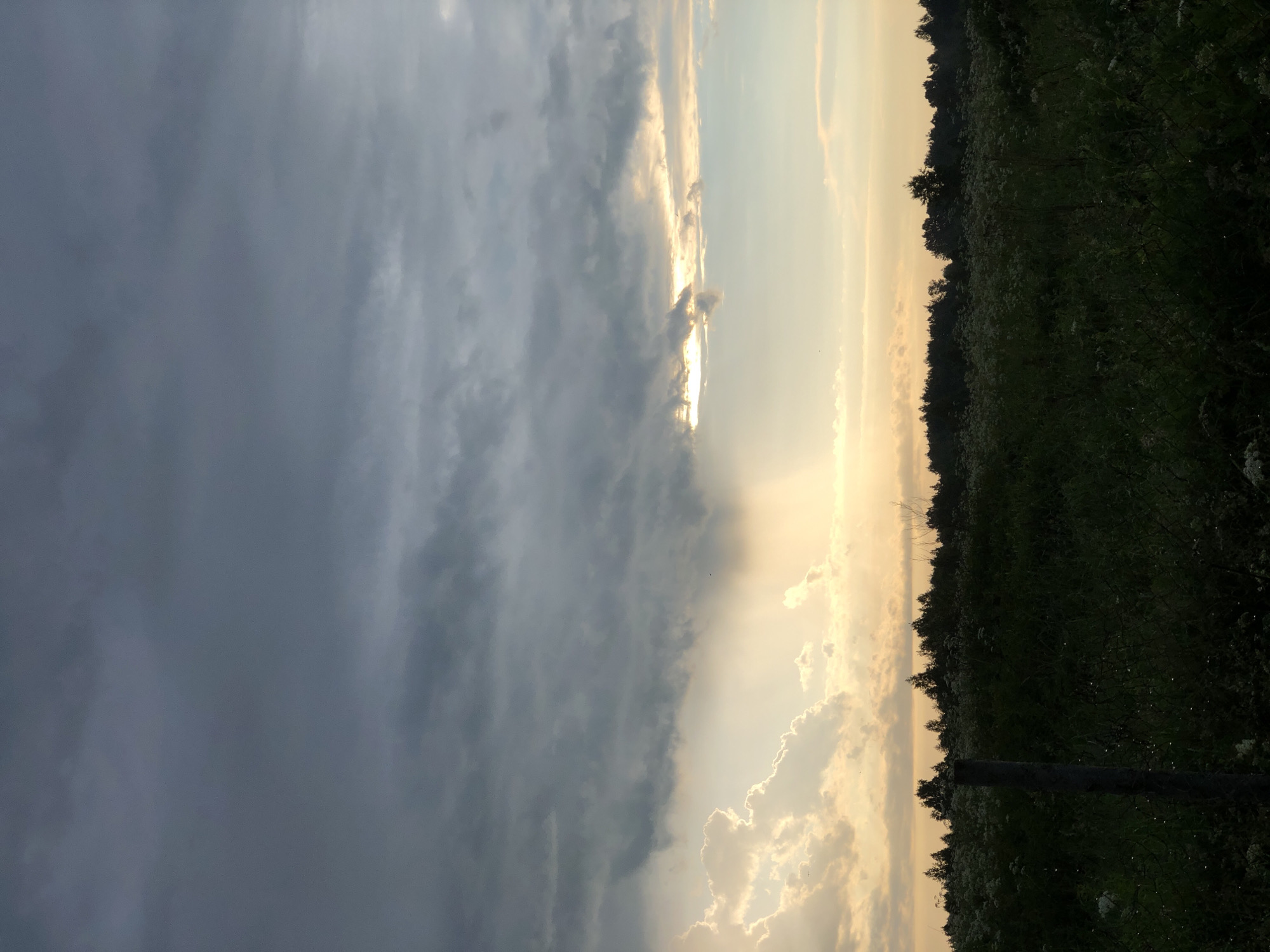 Rural Zhukovo resident documents stormy weather and thriving gardens