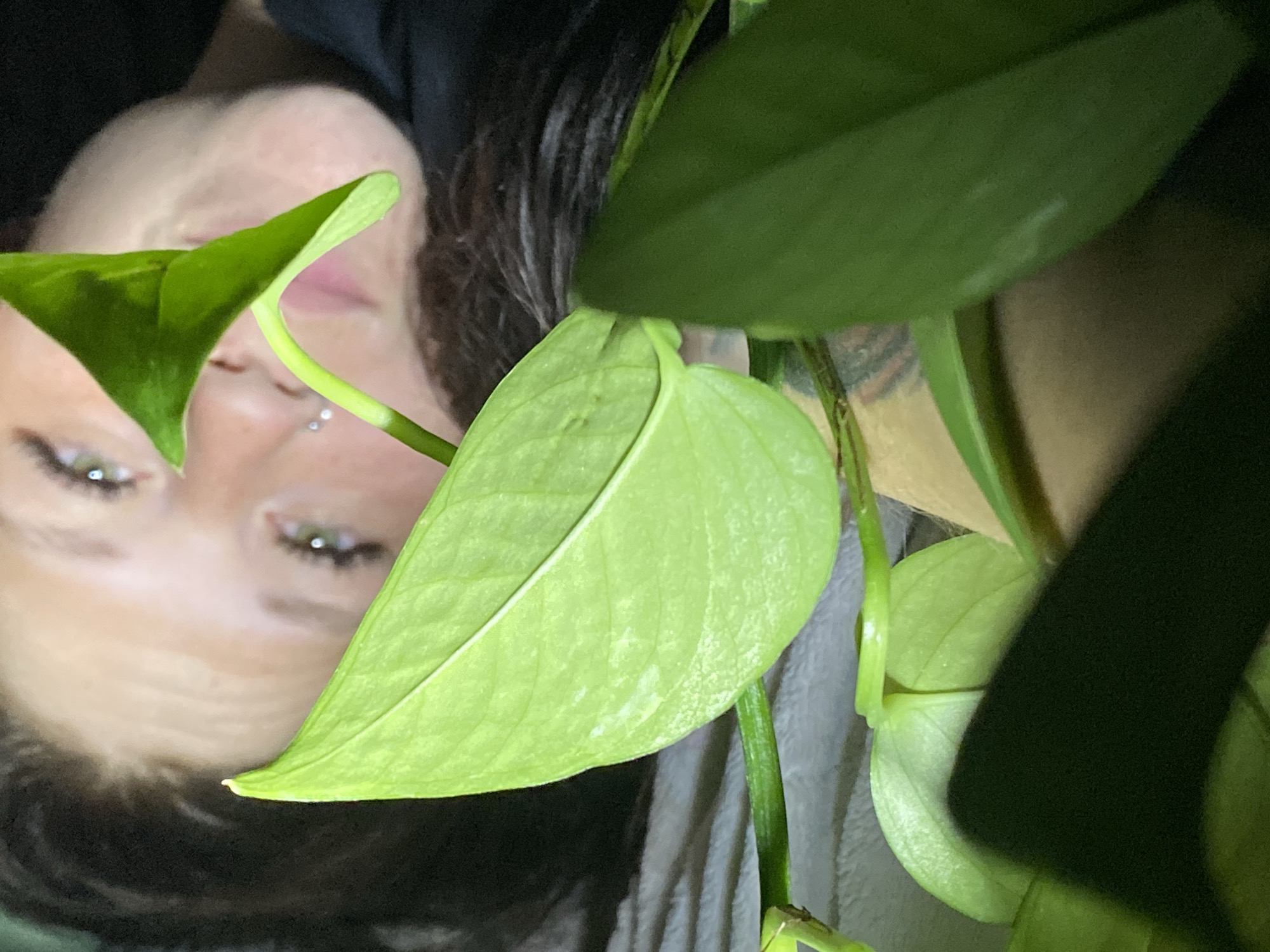 Chaikovsky self-portrait session with plants, drinks, and texture