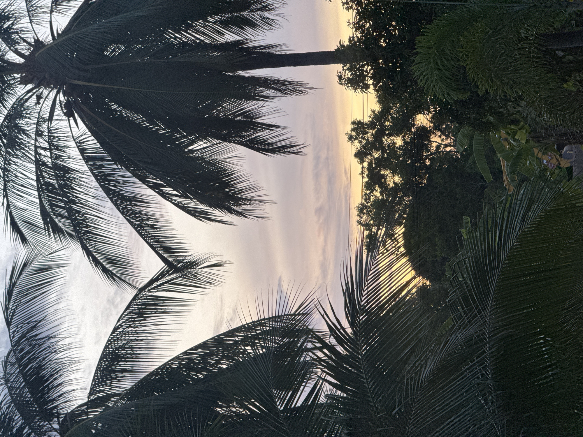 Tropical garden sunset, Ko Samui
