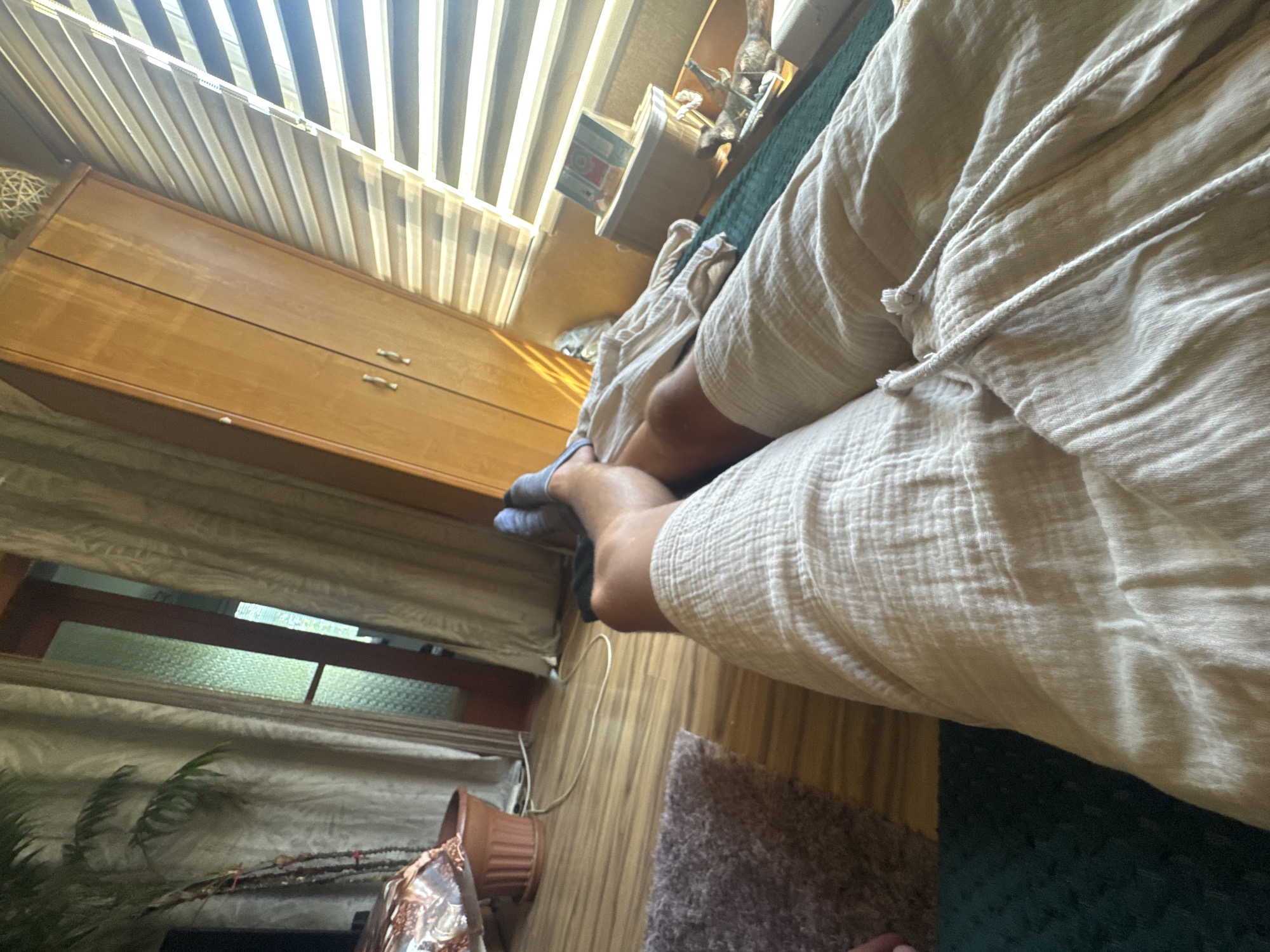 Lazy afternoon on the couch with a sleepy dog in Sofia