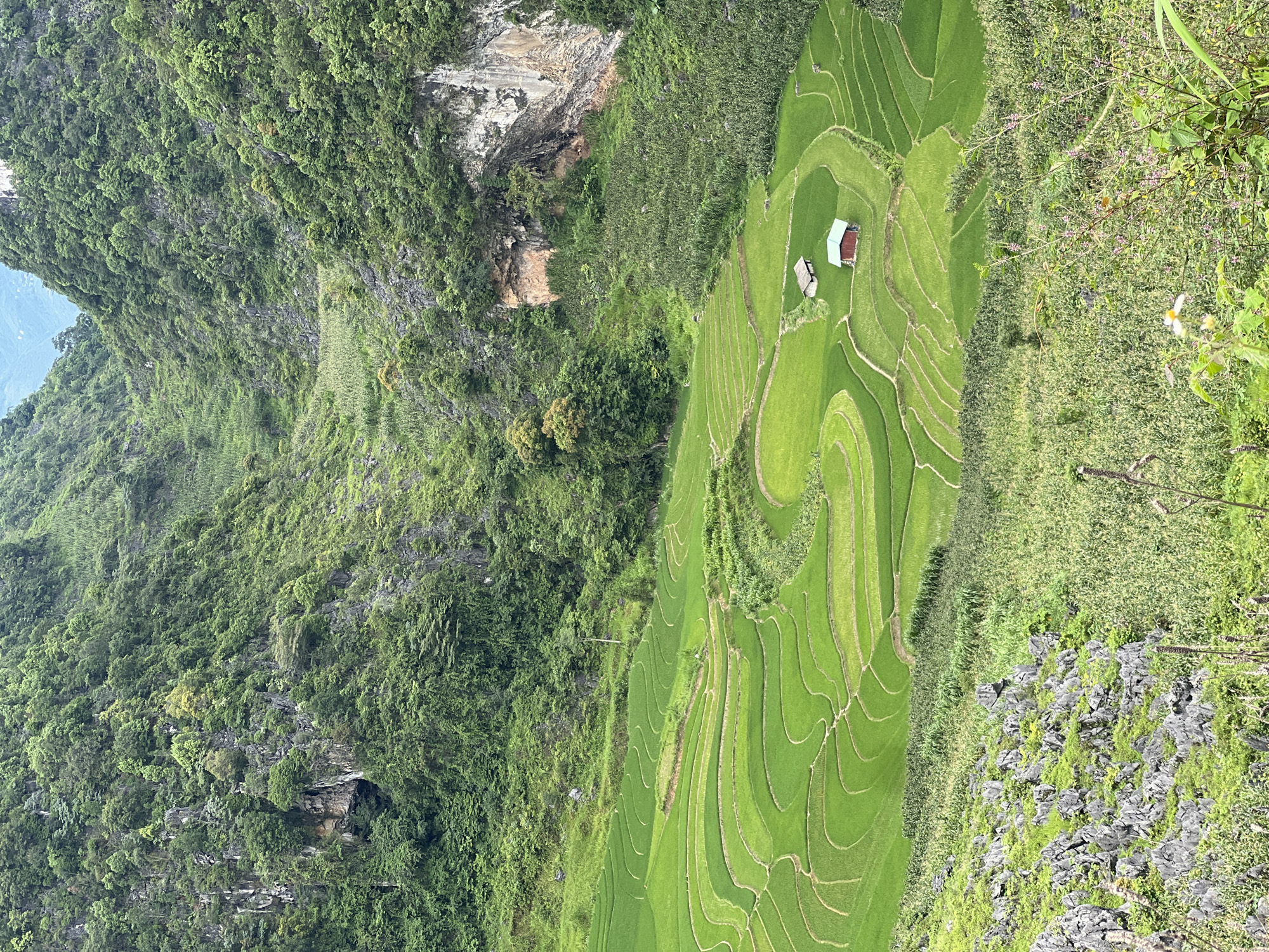 Rice terraces, karst peaks, and mountain roads in Đồng Văn