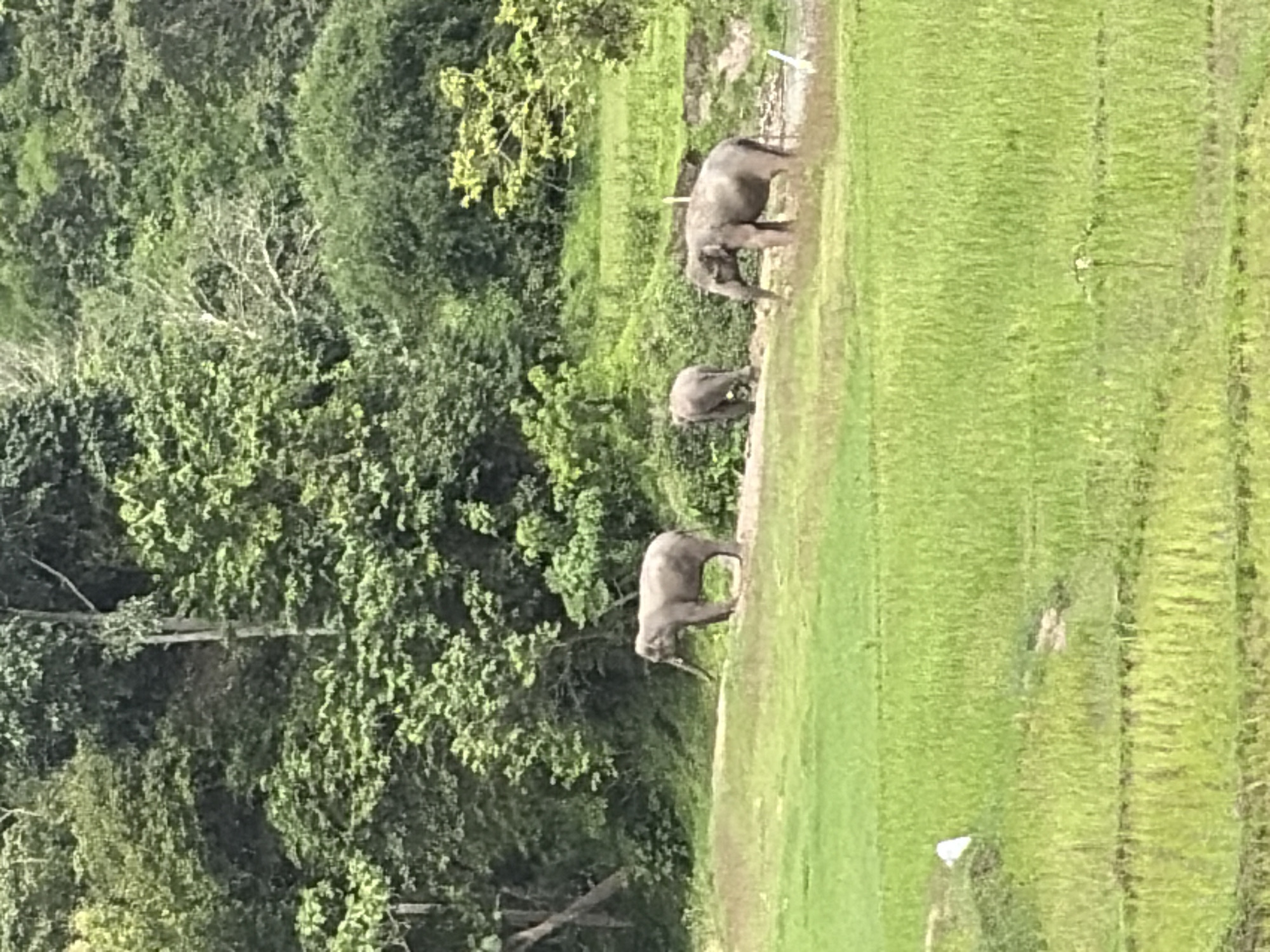 Ban Huai Takhrai, Thailand