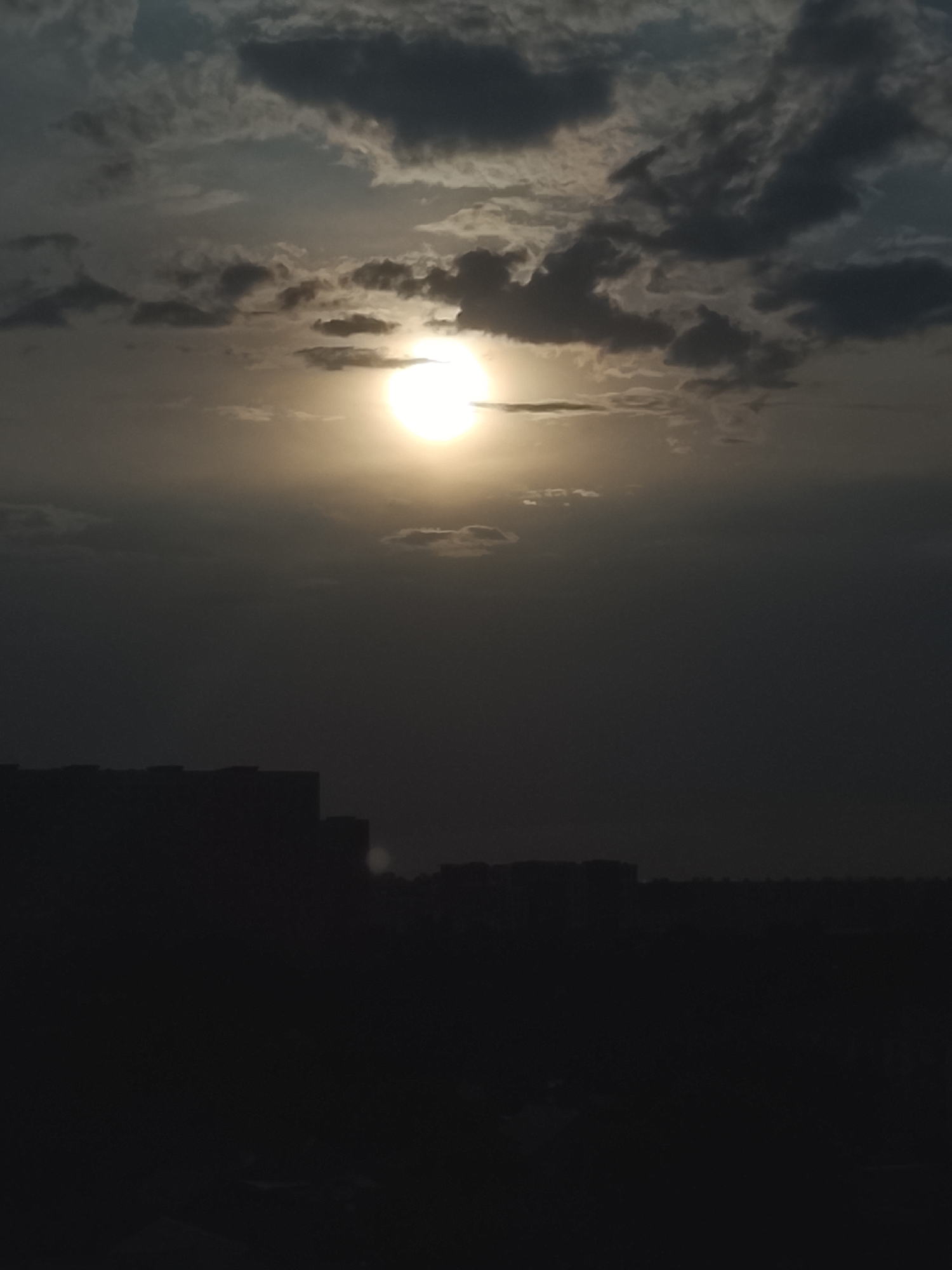 A casual Almaty evening: cats, skylines, and everyday odds and ends