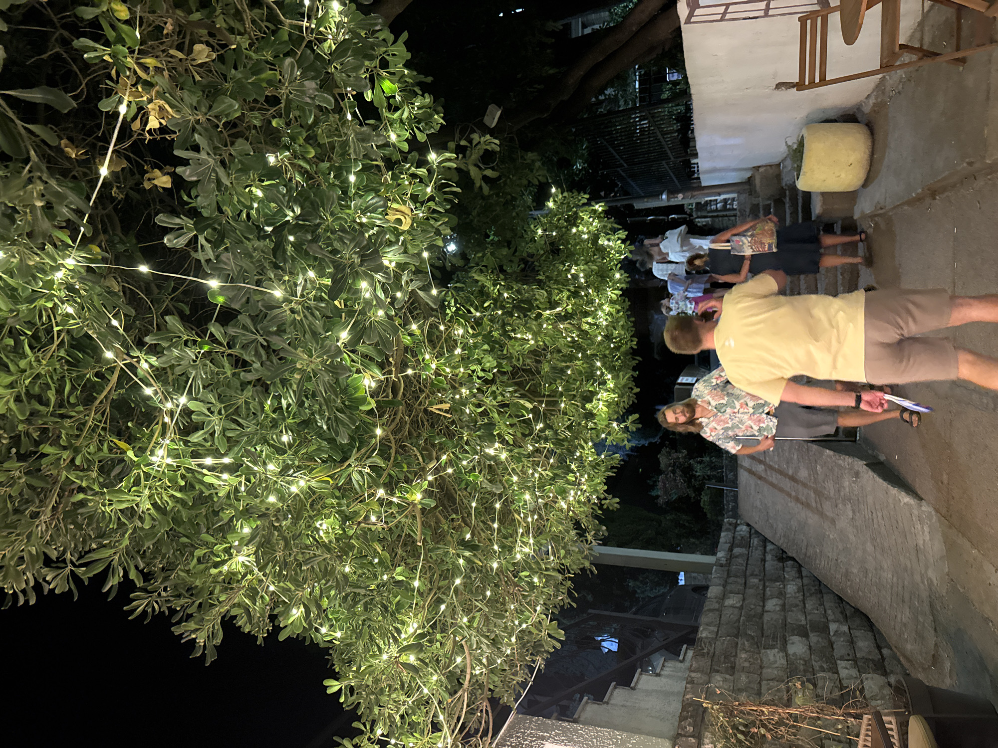 Fairy lights and a street cat on a Montenegrin summer night